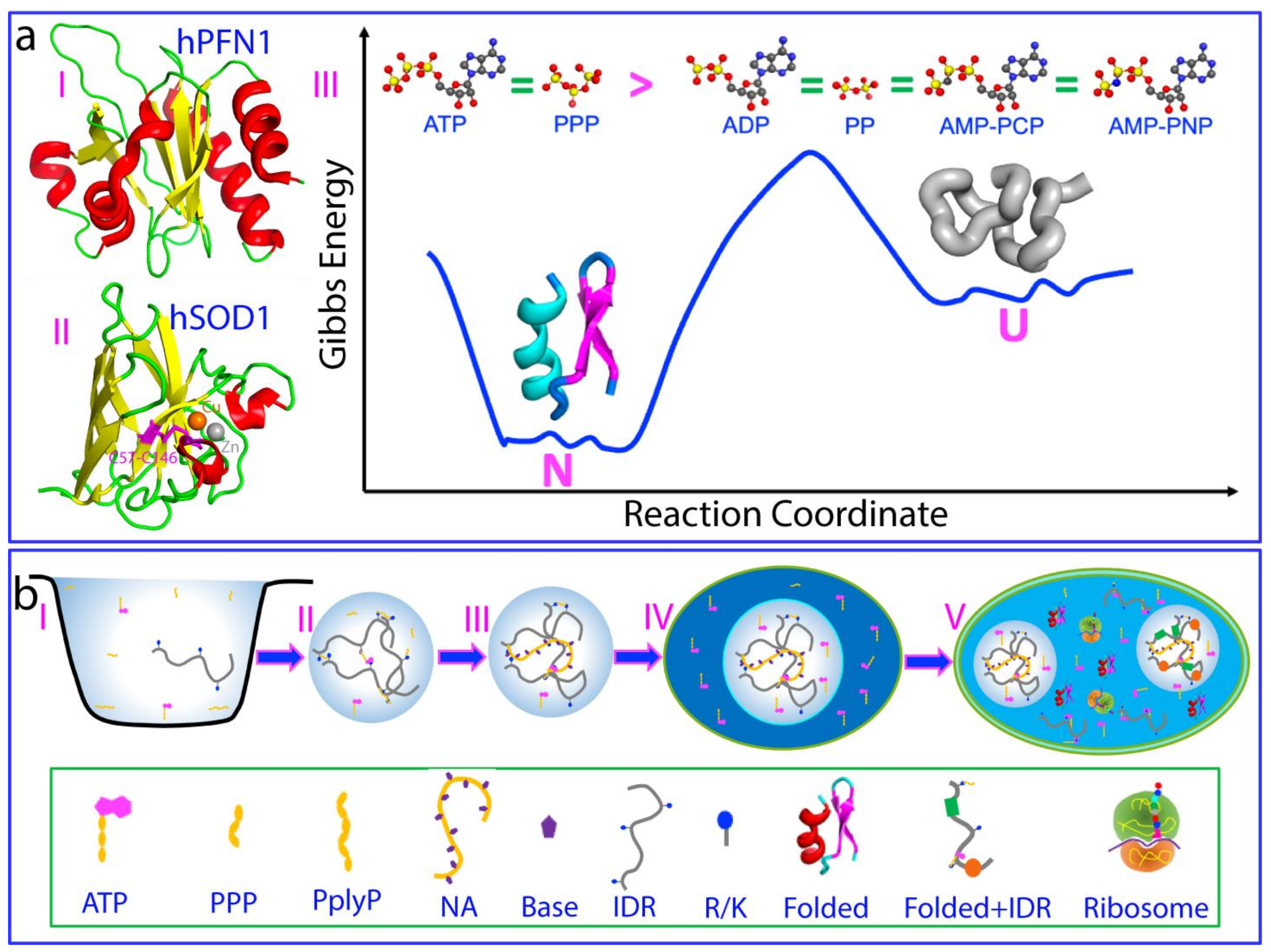 Biomolecules 14 00500 g005