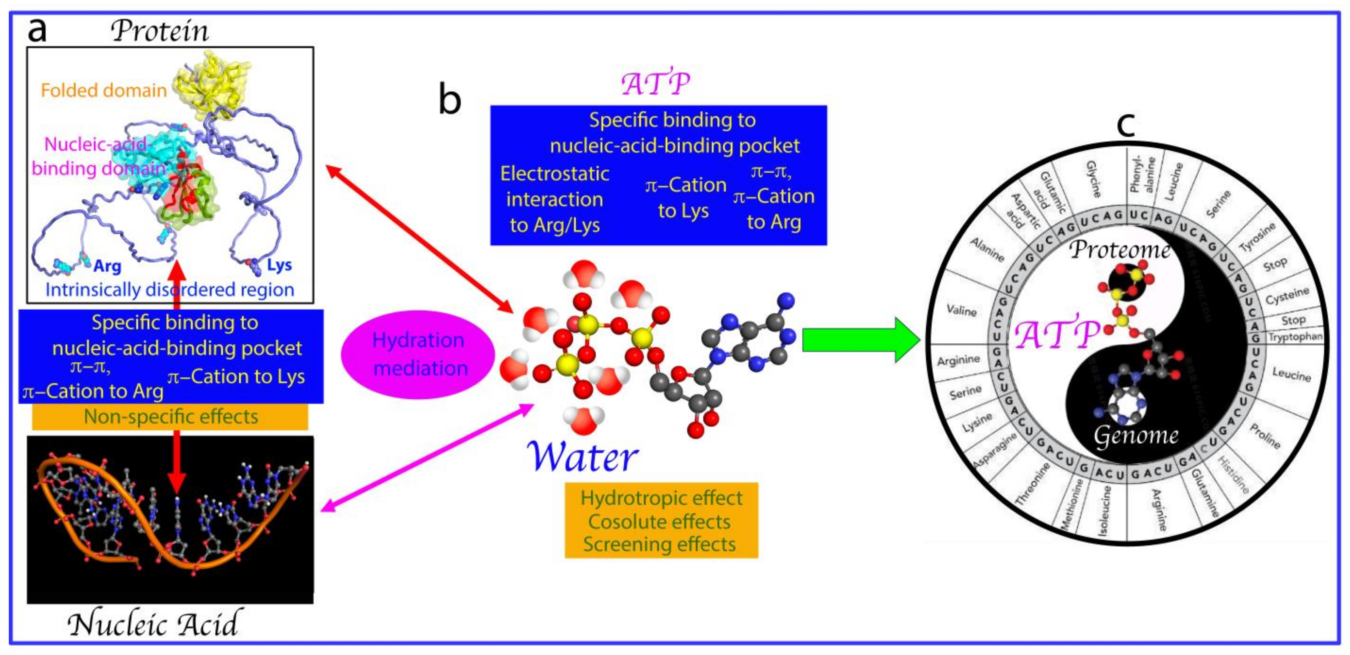 Biomolecules 14 00500 g006