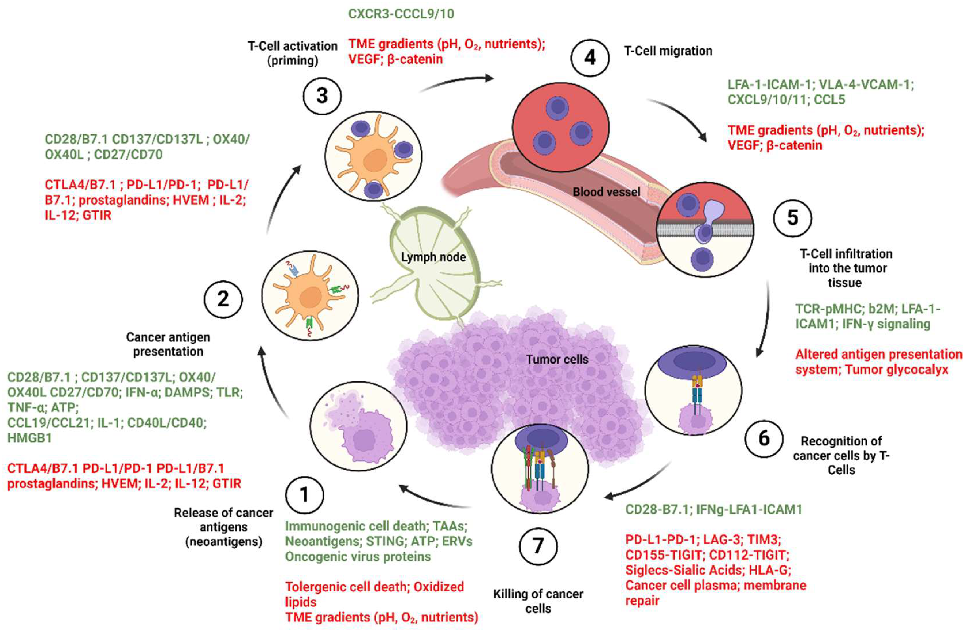 Biomolecules 14 00503 g002