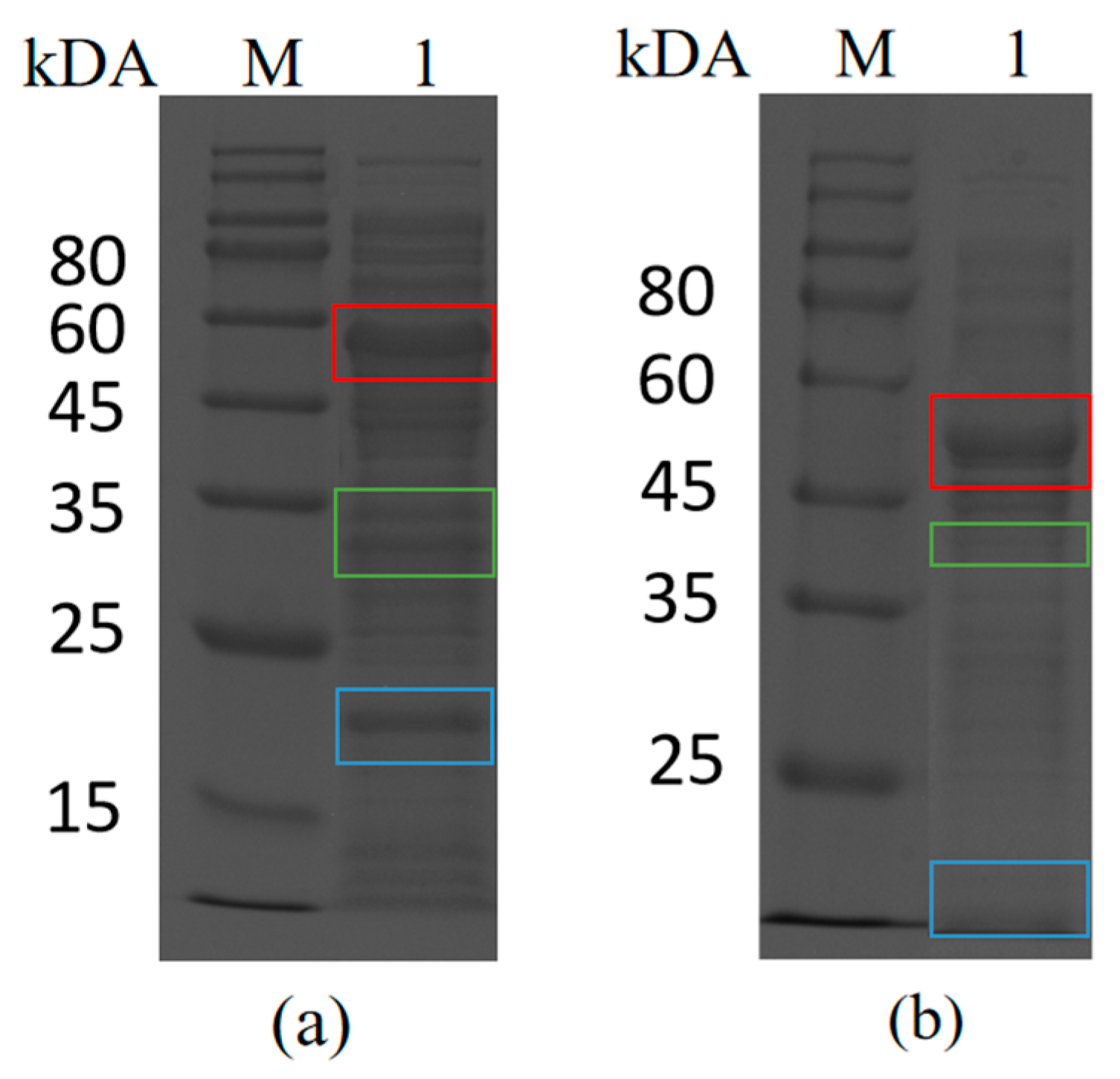 Biomolecules 14 00504 g002
