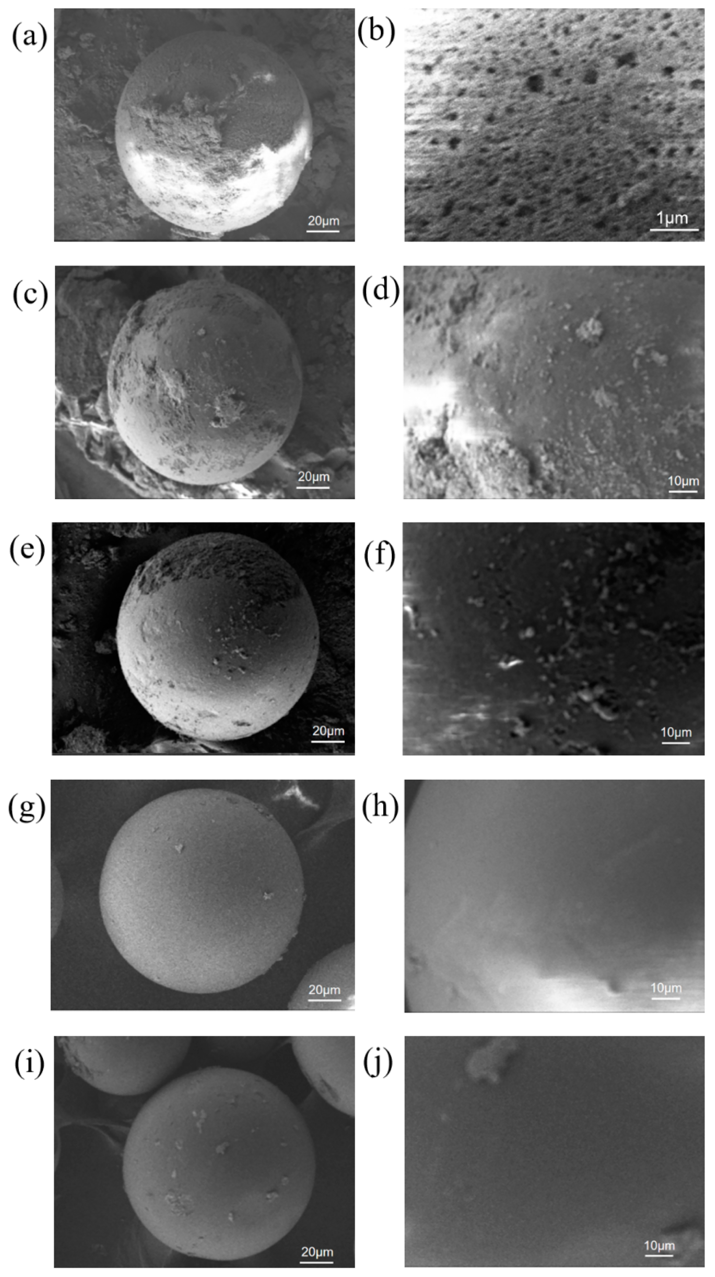 Biomolecules 14 00504 g004