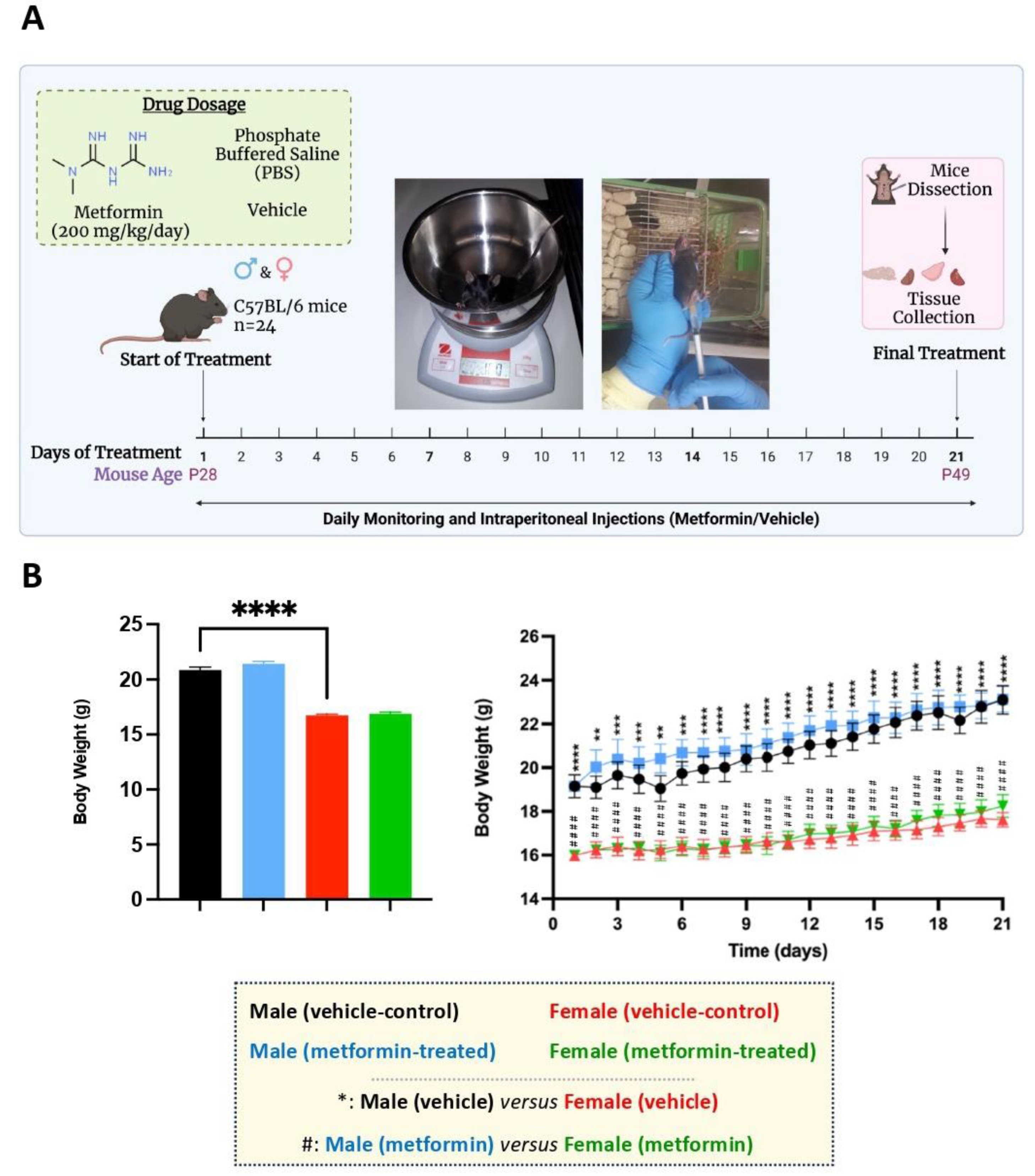 Biomolecules 14 00505 g001 Biomolecules 14 00505 g001