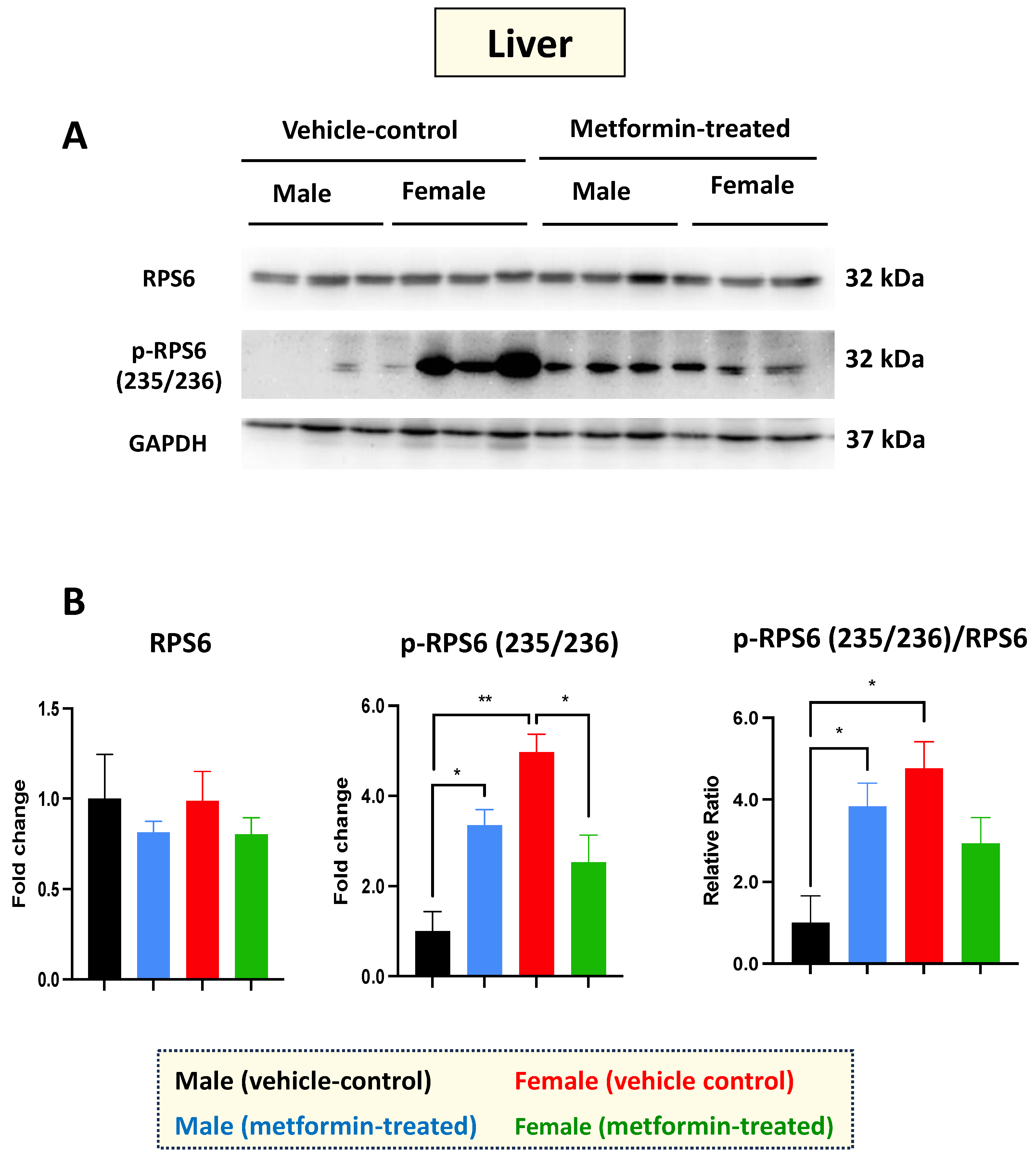 Biomolecules 14 00505 g002 Biomolecules 14 00505 g002