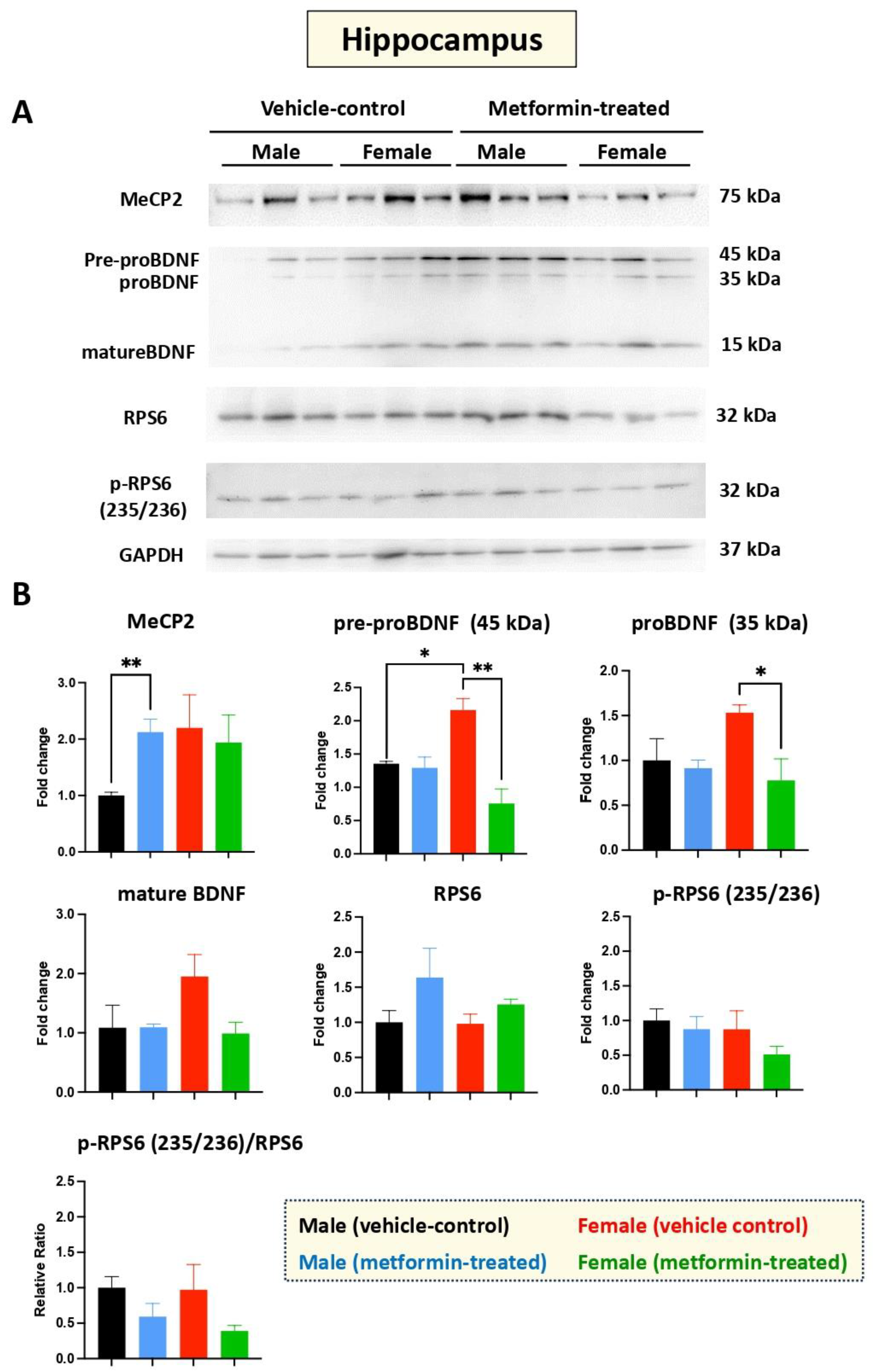 Biomolecules 14 00505 g003 Biomolecules 14 00505 g003