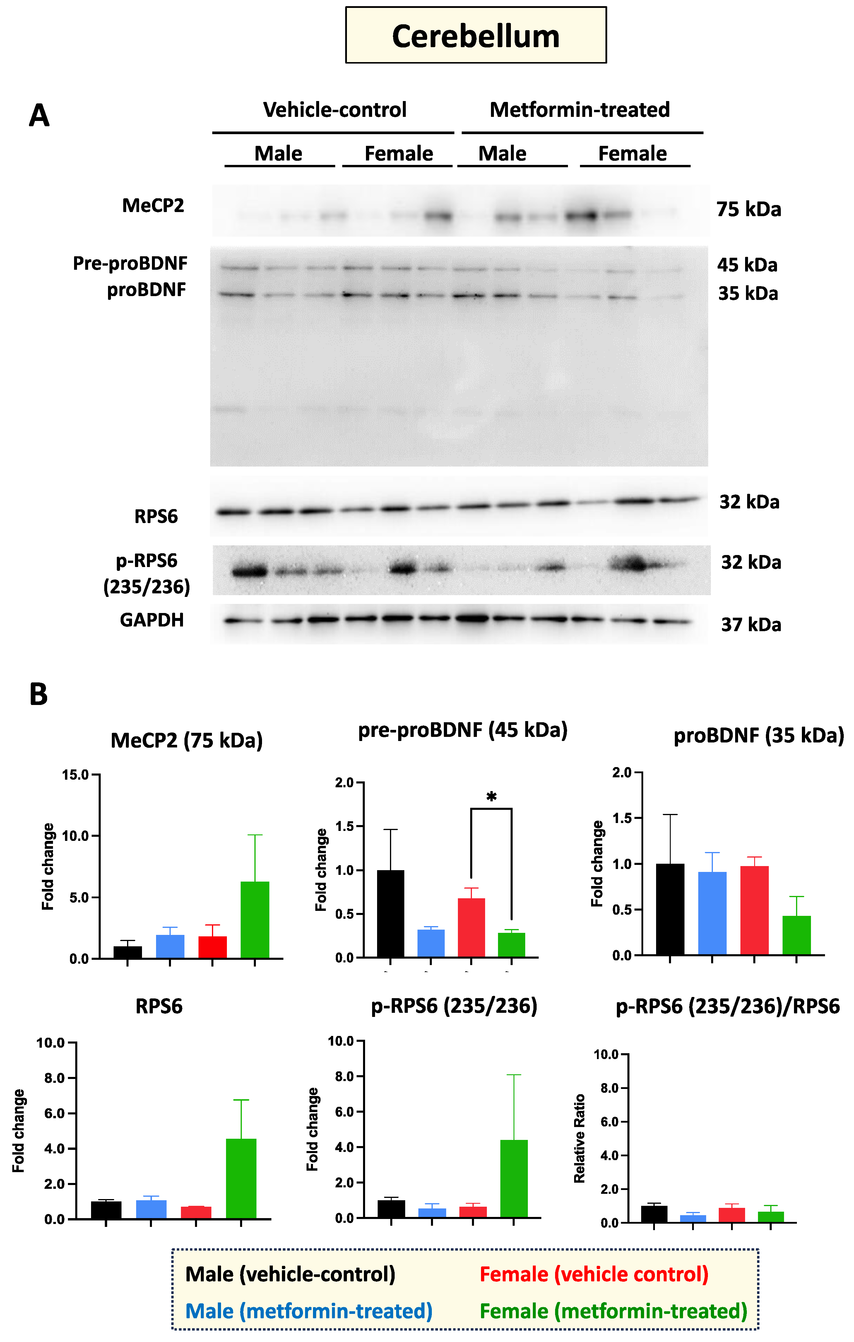 Biomolecules 14 00505 g004 Biomolecules 14 00505 g004