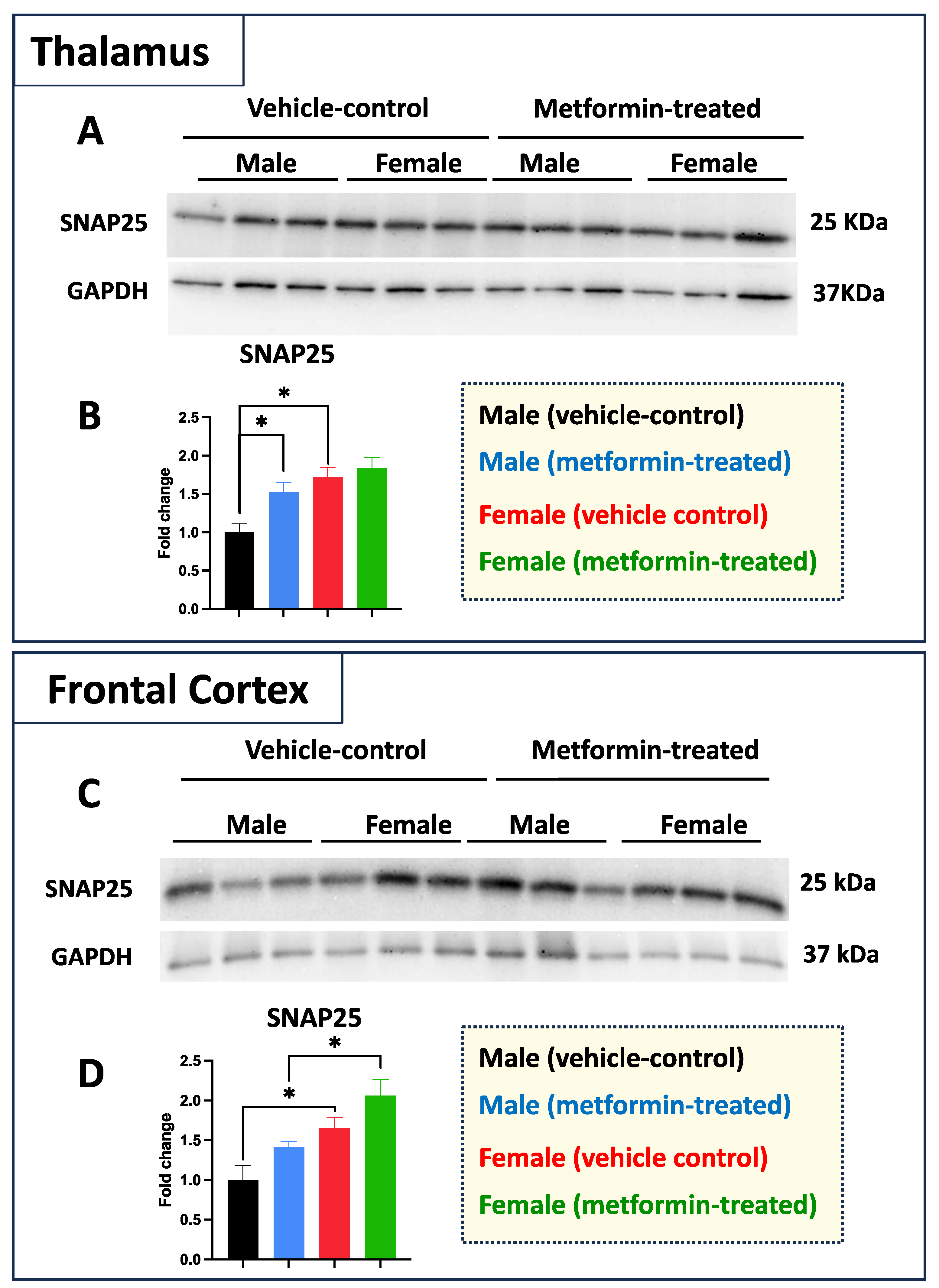 Biomolecules 14 00505 g008 Biomolecules 14 00505 g008