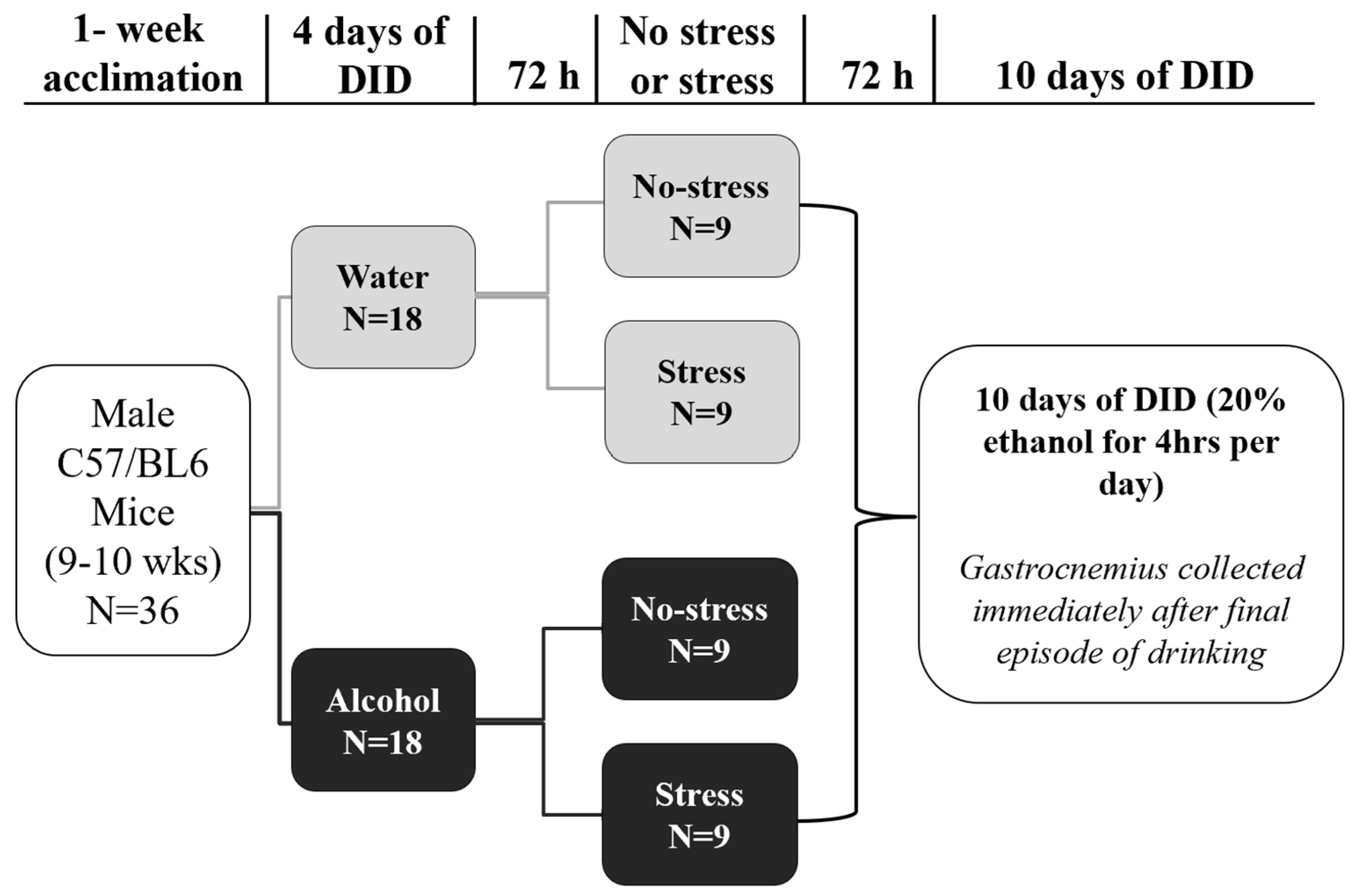 Biomolecules 14 00527 g001 Biomolecules 14 00527 g001