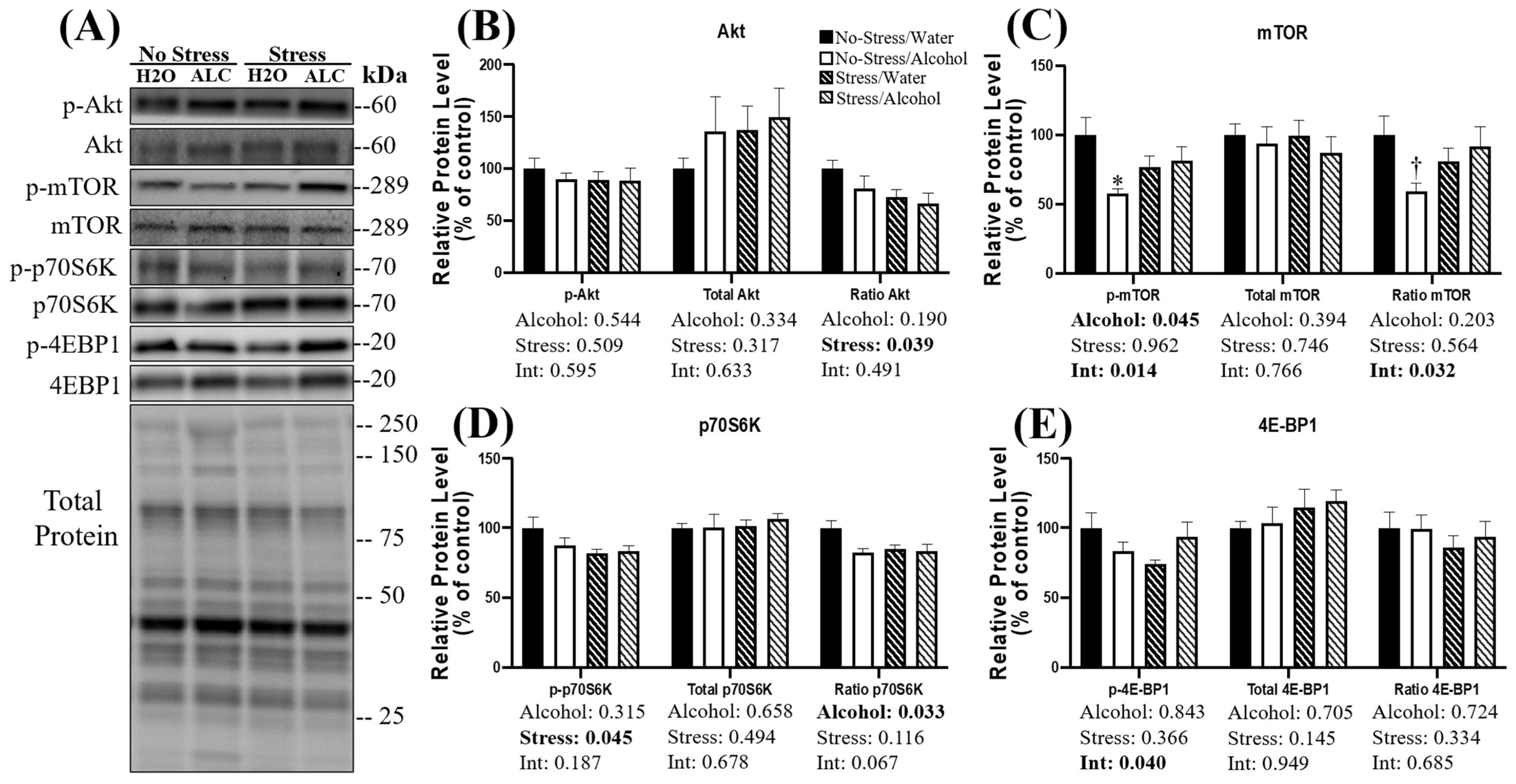 Biomolecules 14 00527 g002 Biomolecules 14 00527 g002