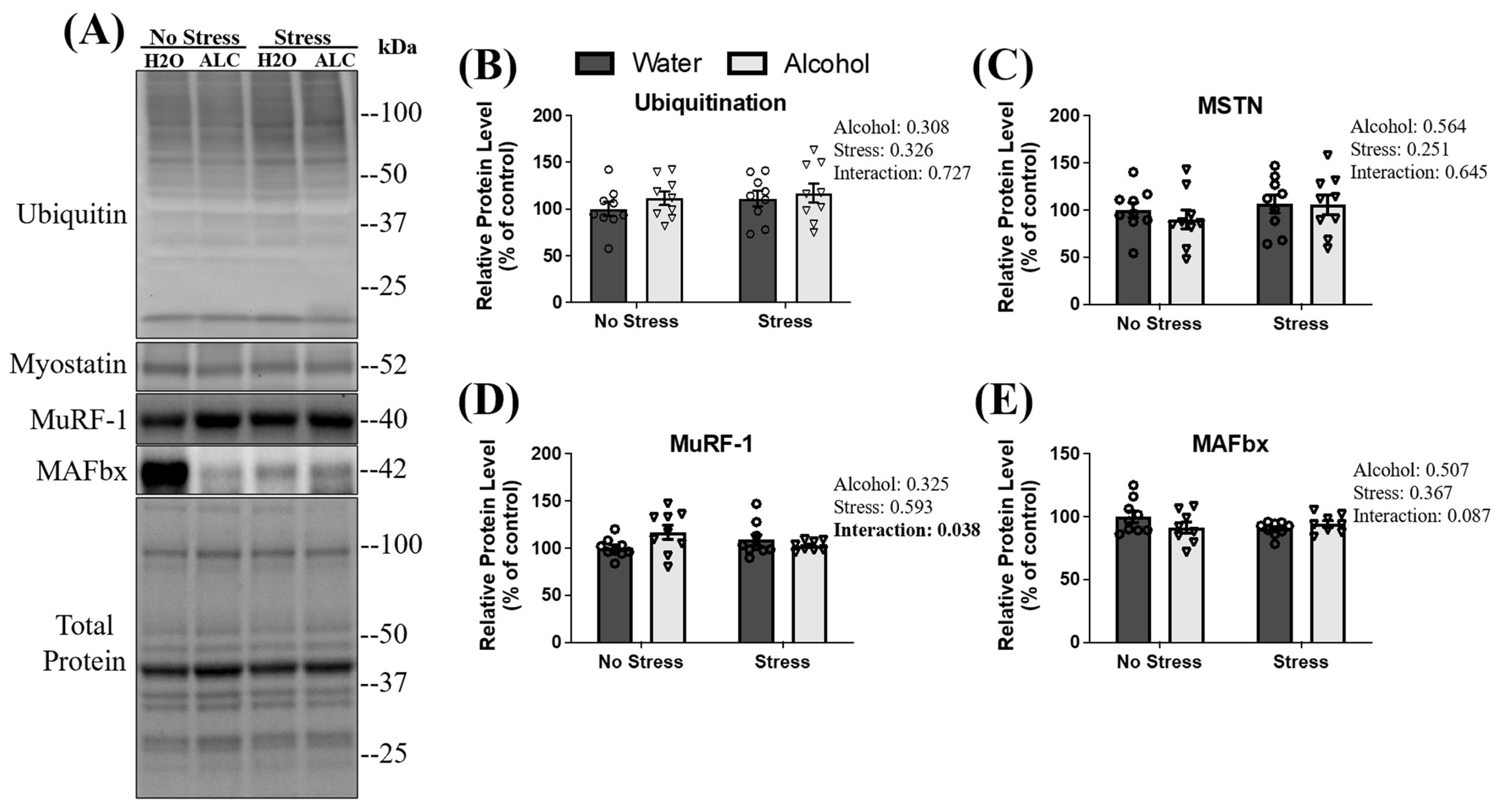 Biomolecules 14 00527 g003 Biomolecules 14 00527 g003