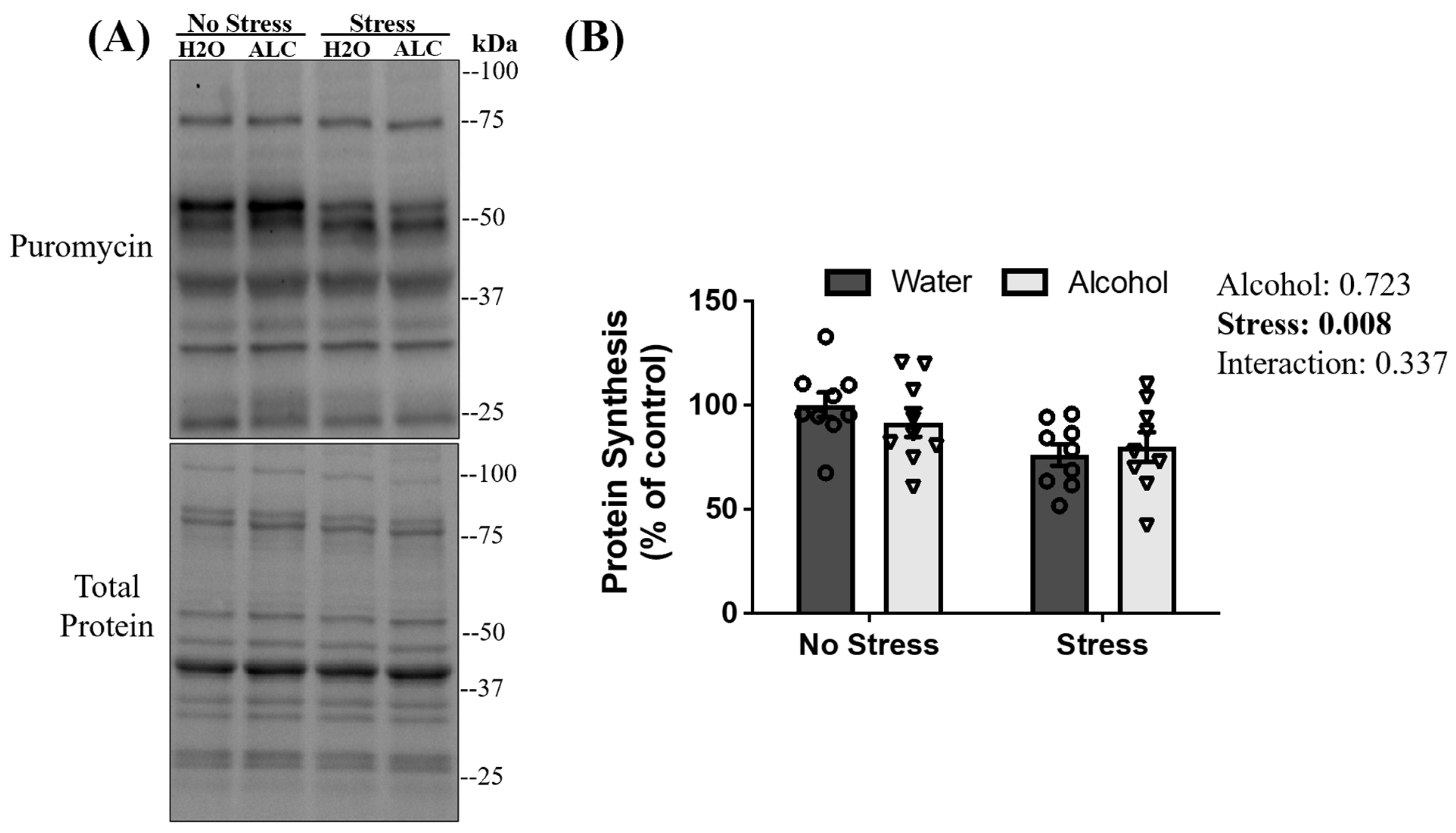 Biomolecules 14 00527 g005 Biomolecules 14 00527 g005