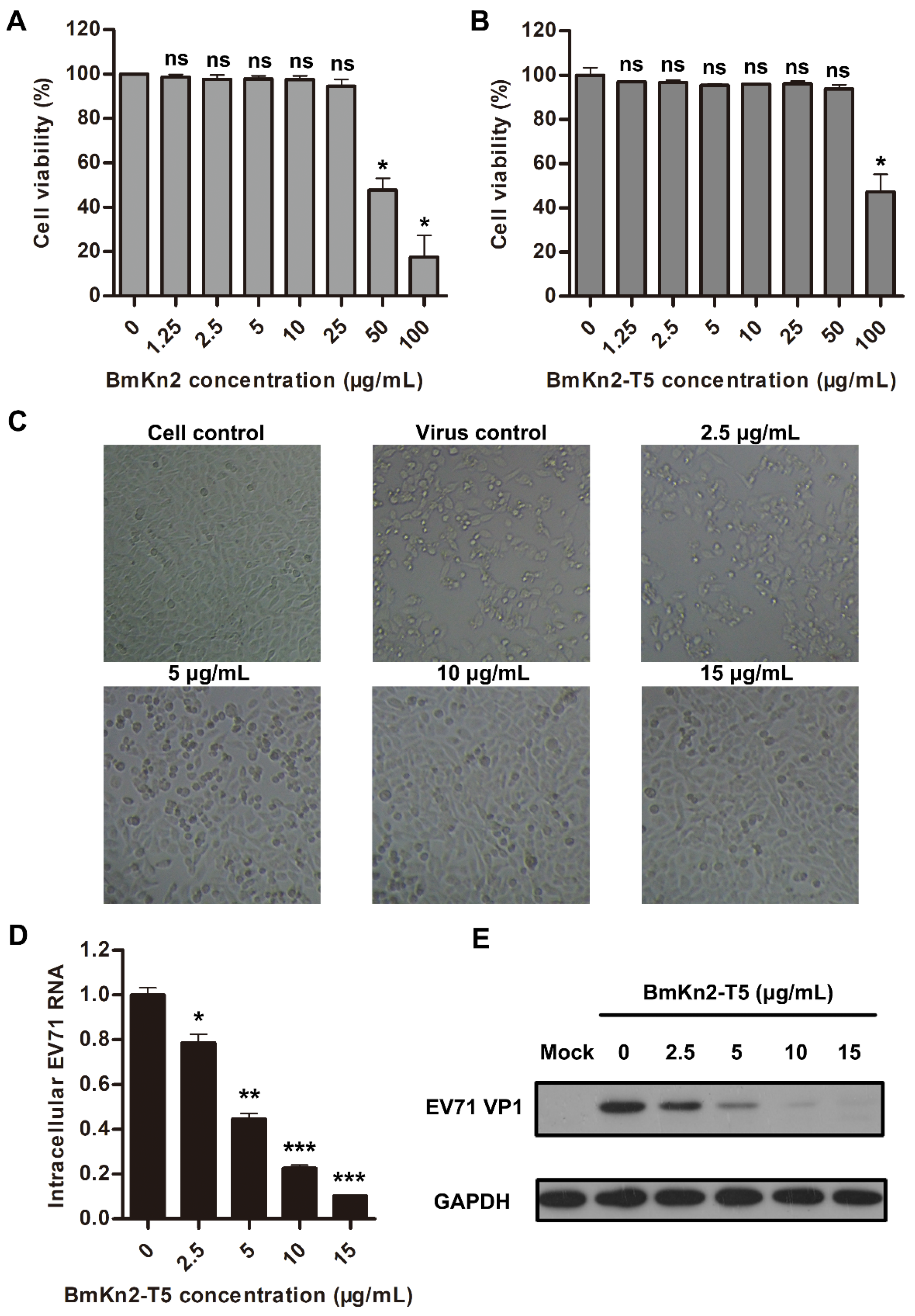 Biomolecules 14 00545 g003