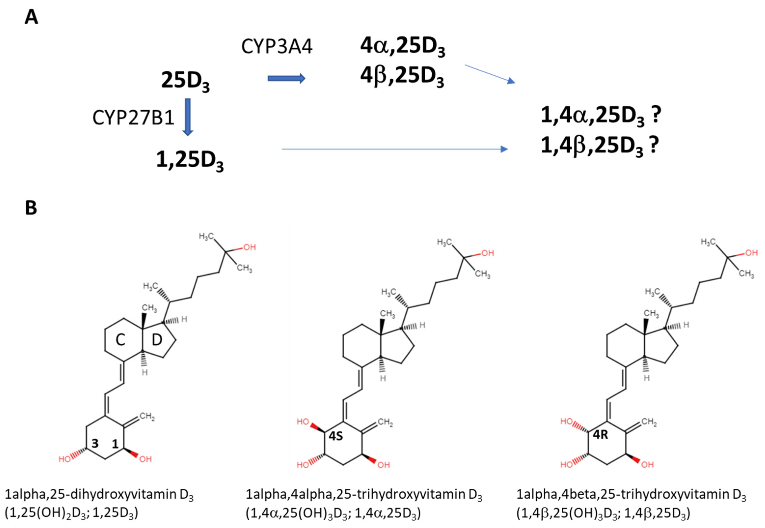 Biomolecules 14 00551 g001