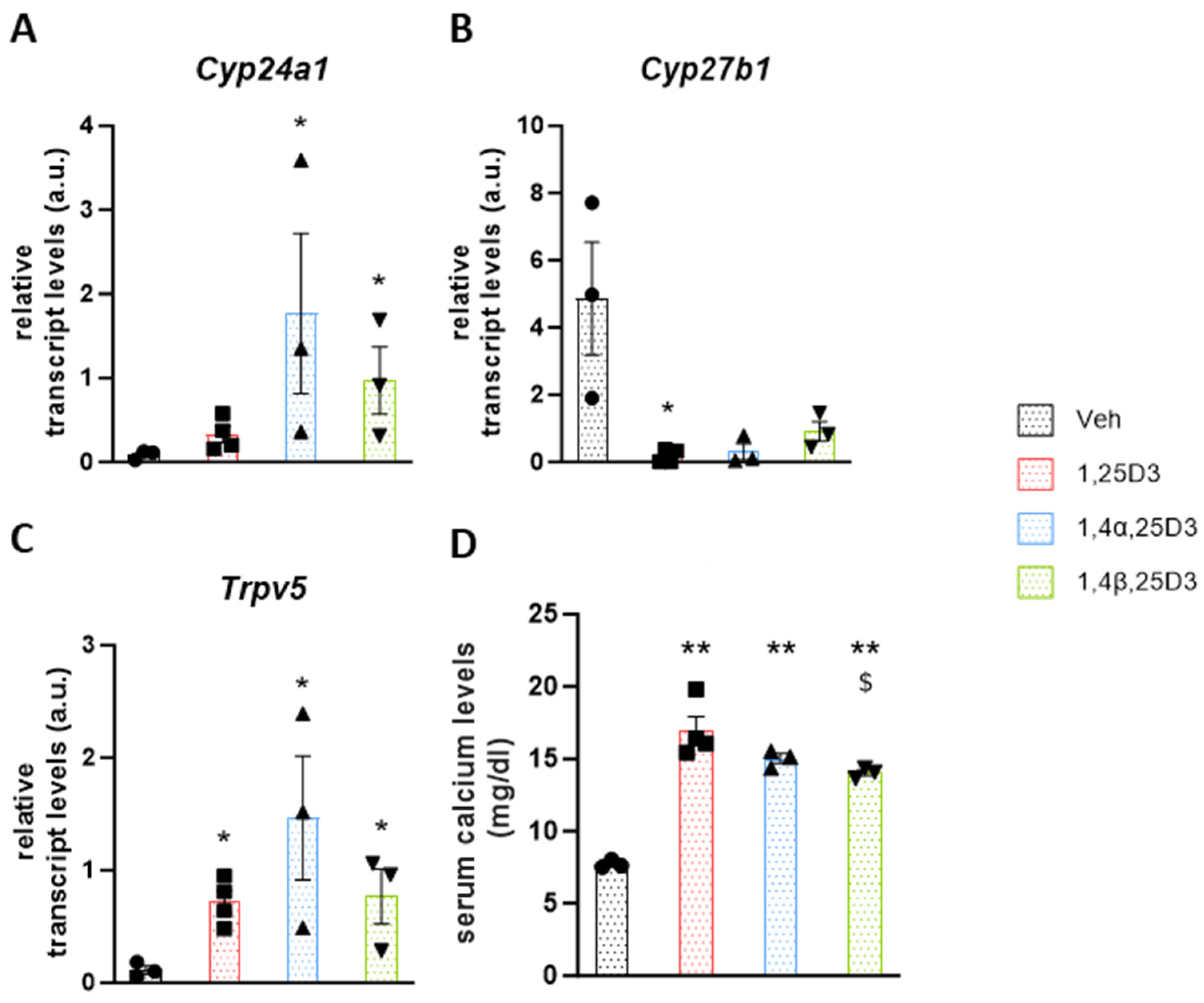 Biomolecules 14 00551 g004