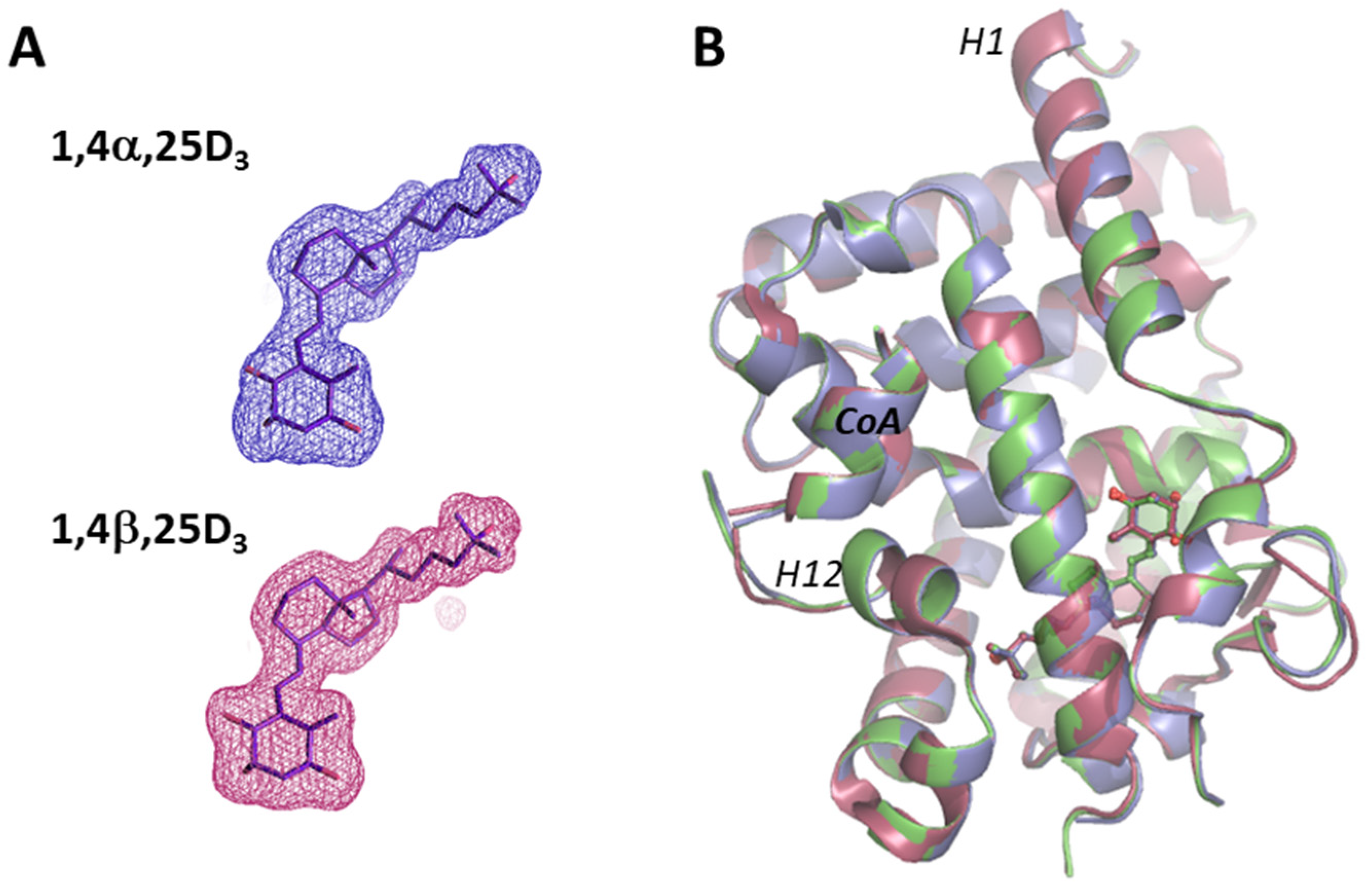 Biomolecules 14 00551 g005