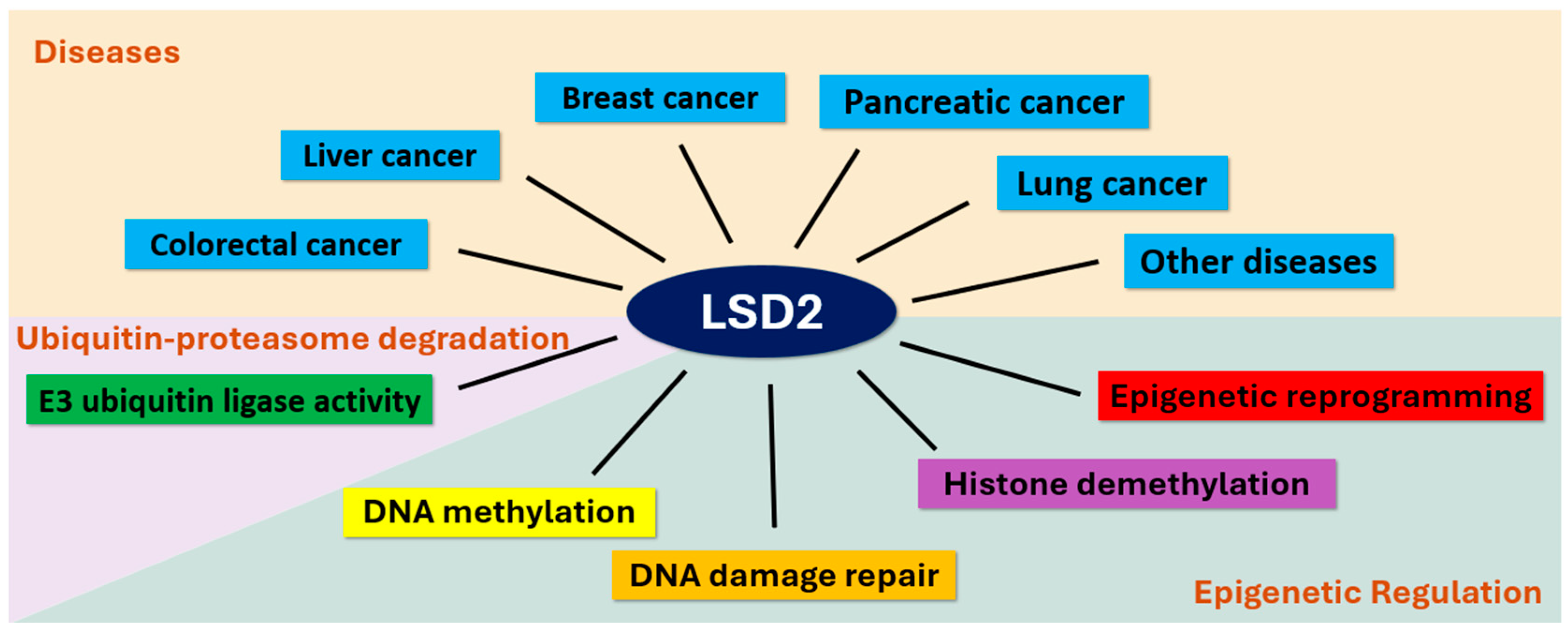 Biomolecules | Free Full-Text | LSD2 Is an Epigenetic Player in Multiple  Types of Cancer and Beyond