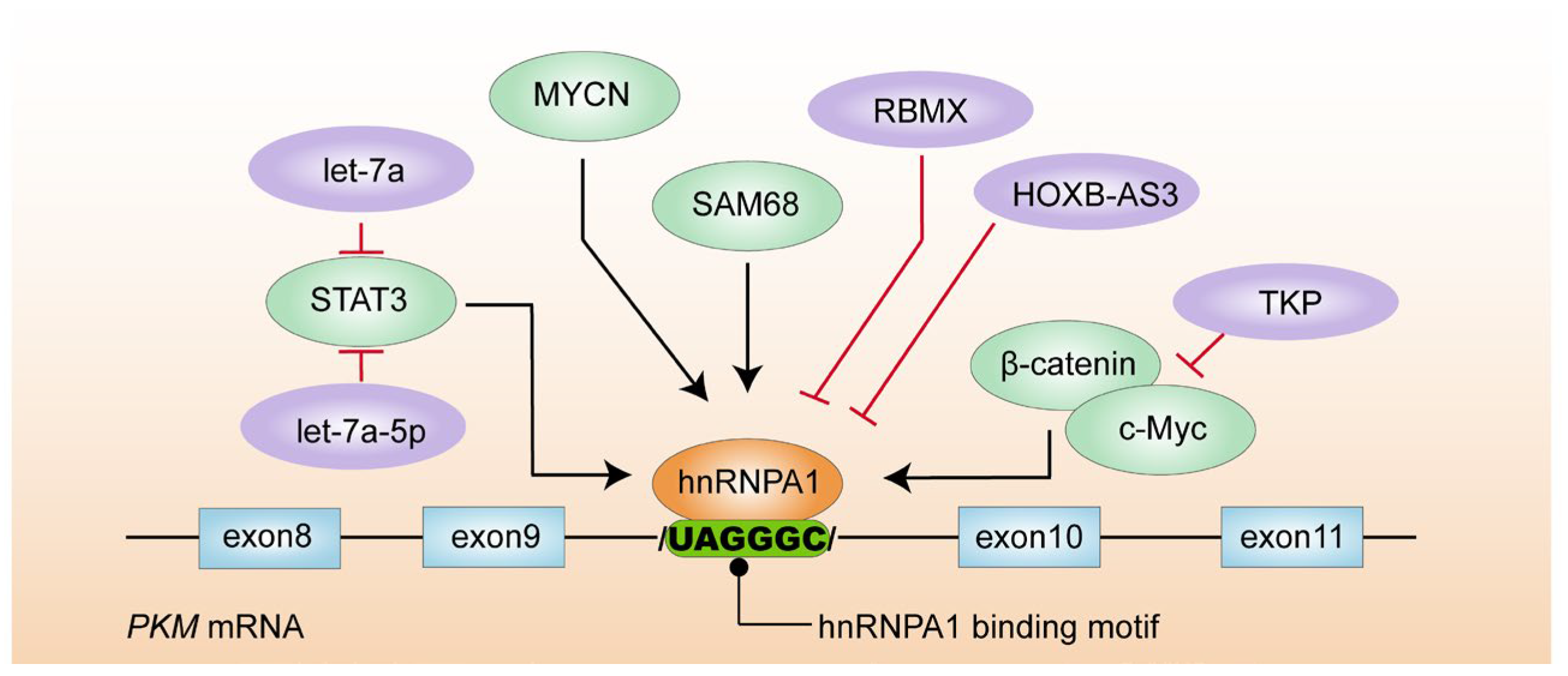 Biomolecules 14 00566 g002