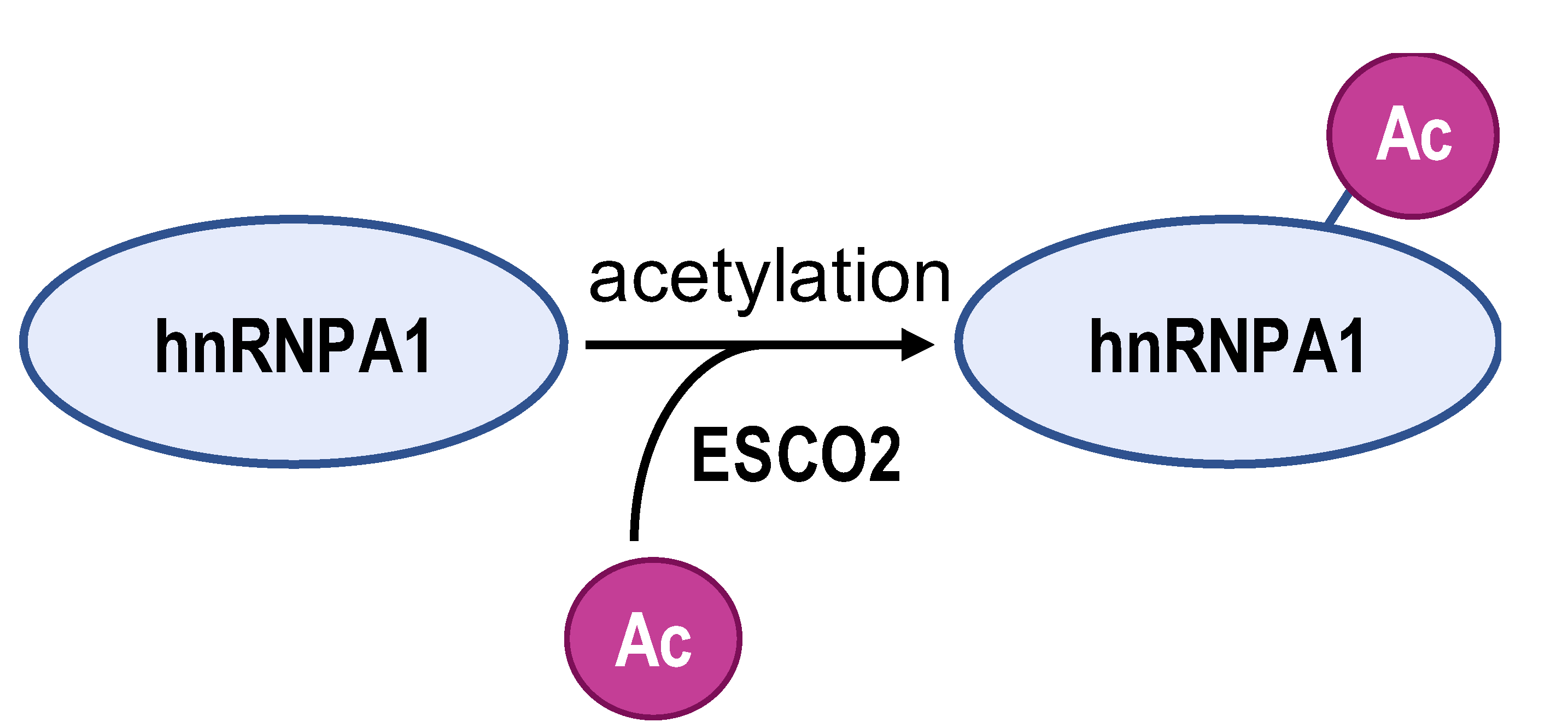 Biomolecules 14 00566 i001
