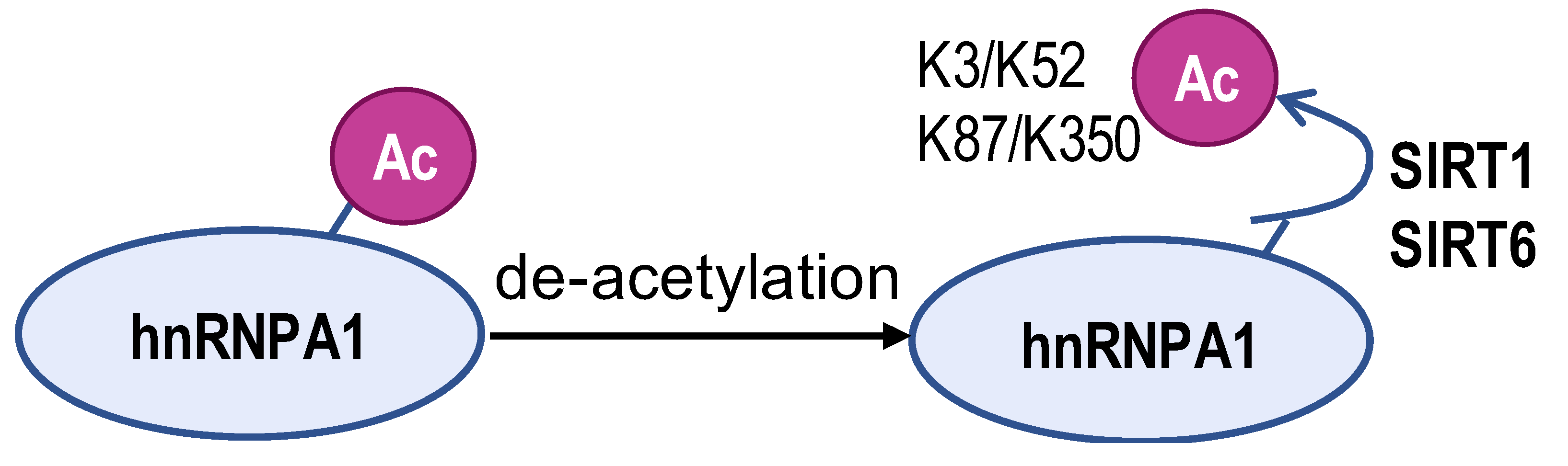 Biomolecules 14 00566 i003