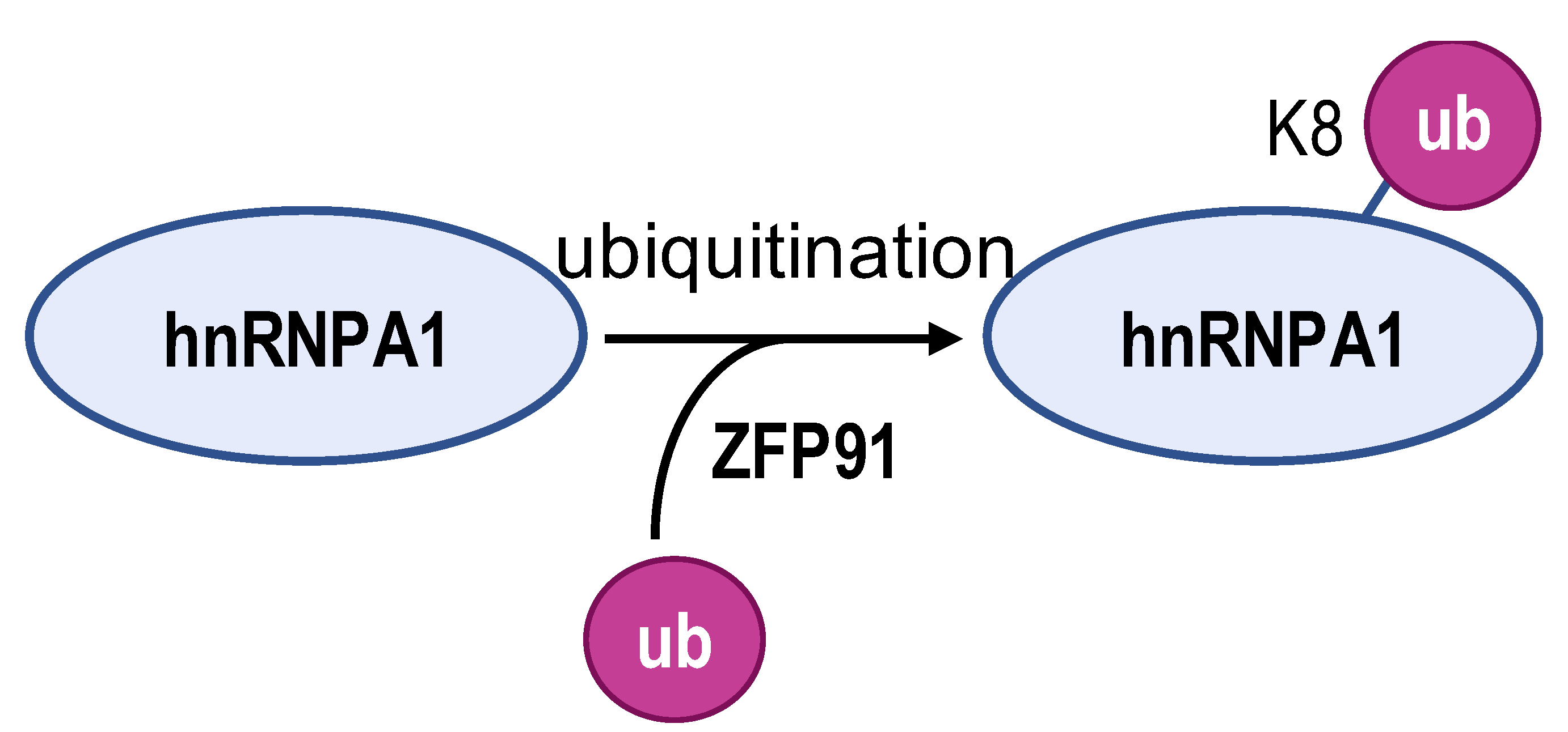 Biomolecules 14 00566 i004