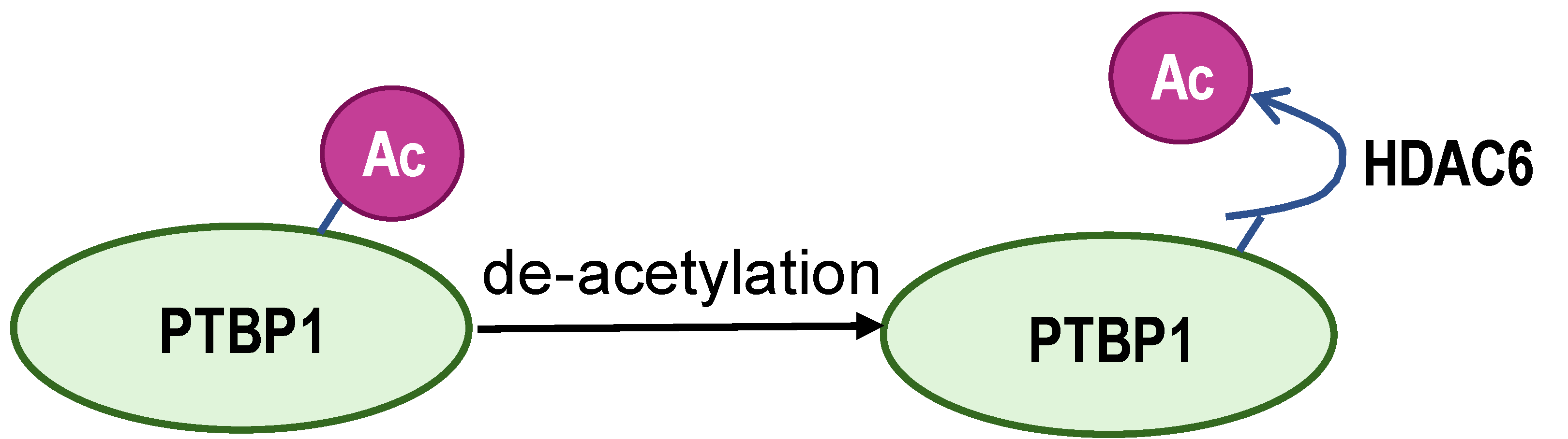 Biomolecules 14 00566 i005