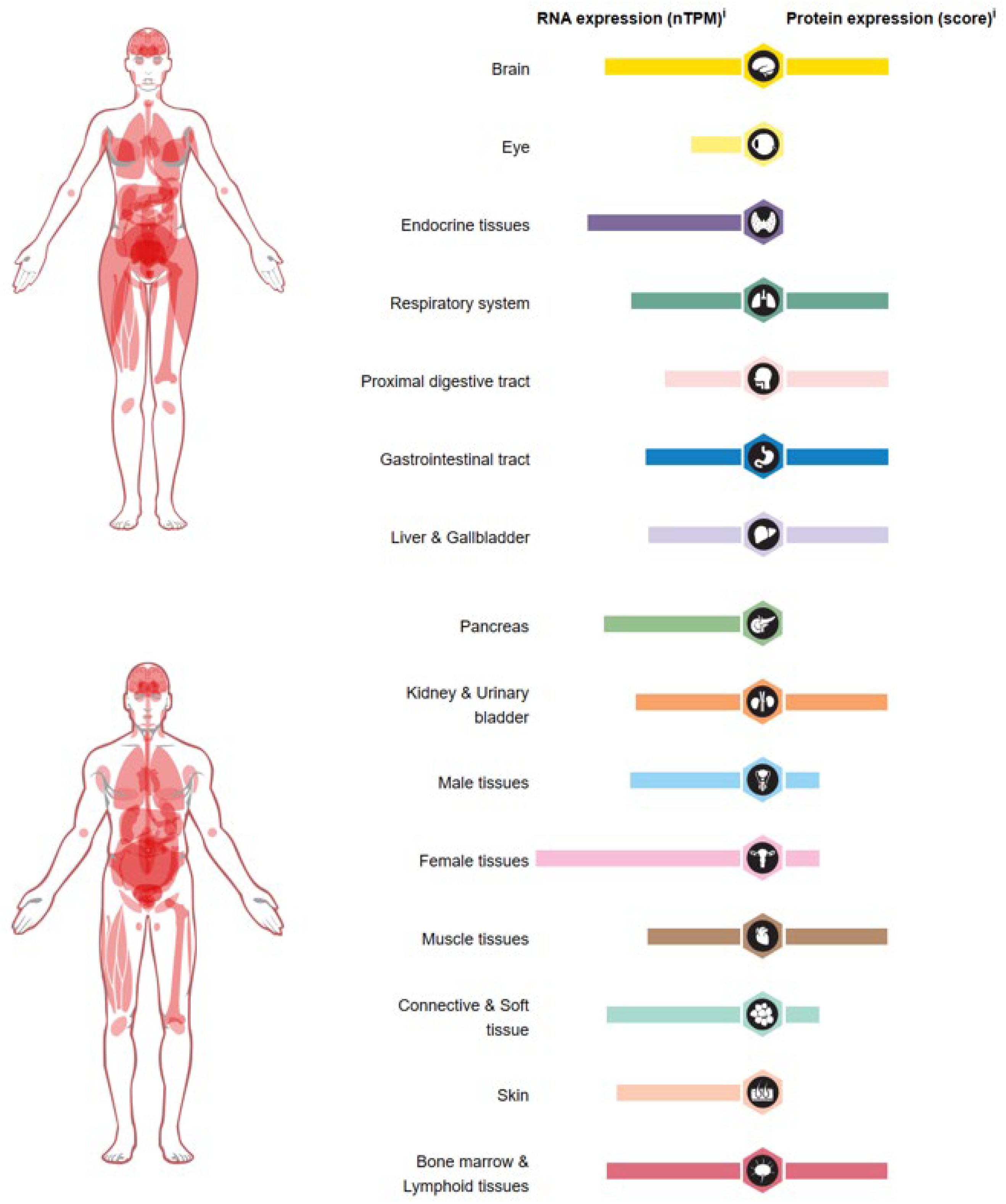 Biomolecules 14 00572 g004