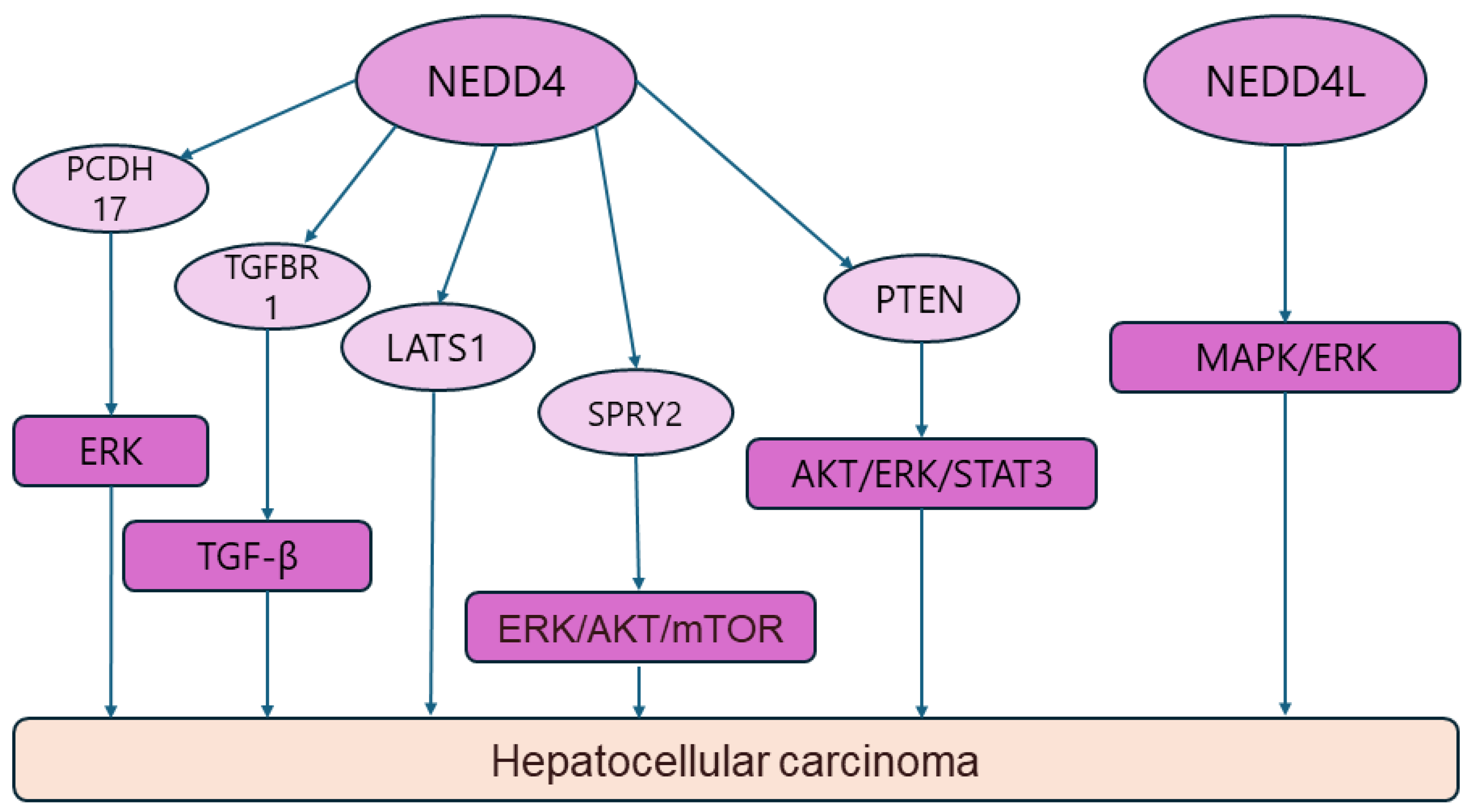 Biomolecules 14 00577 g005 Biomolecules 14 00577 g005