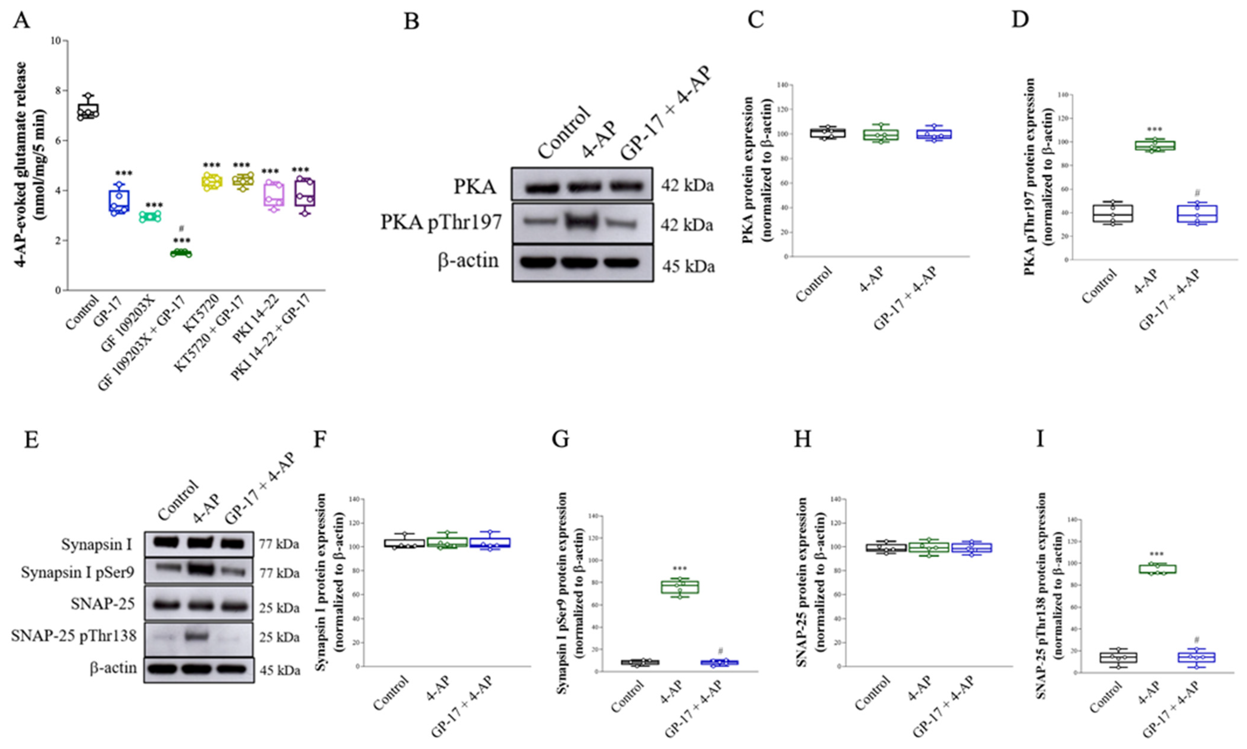 Biomolecules 14 00589 g002
