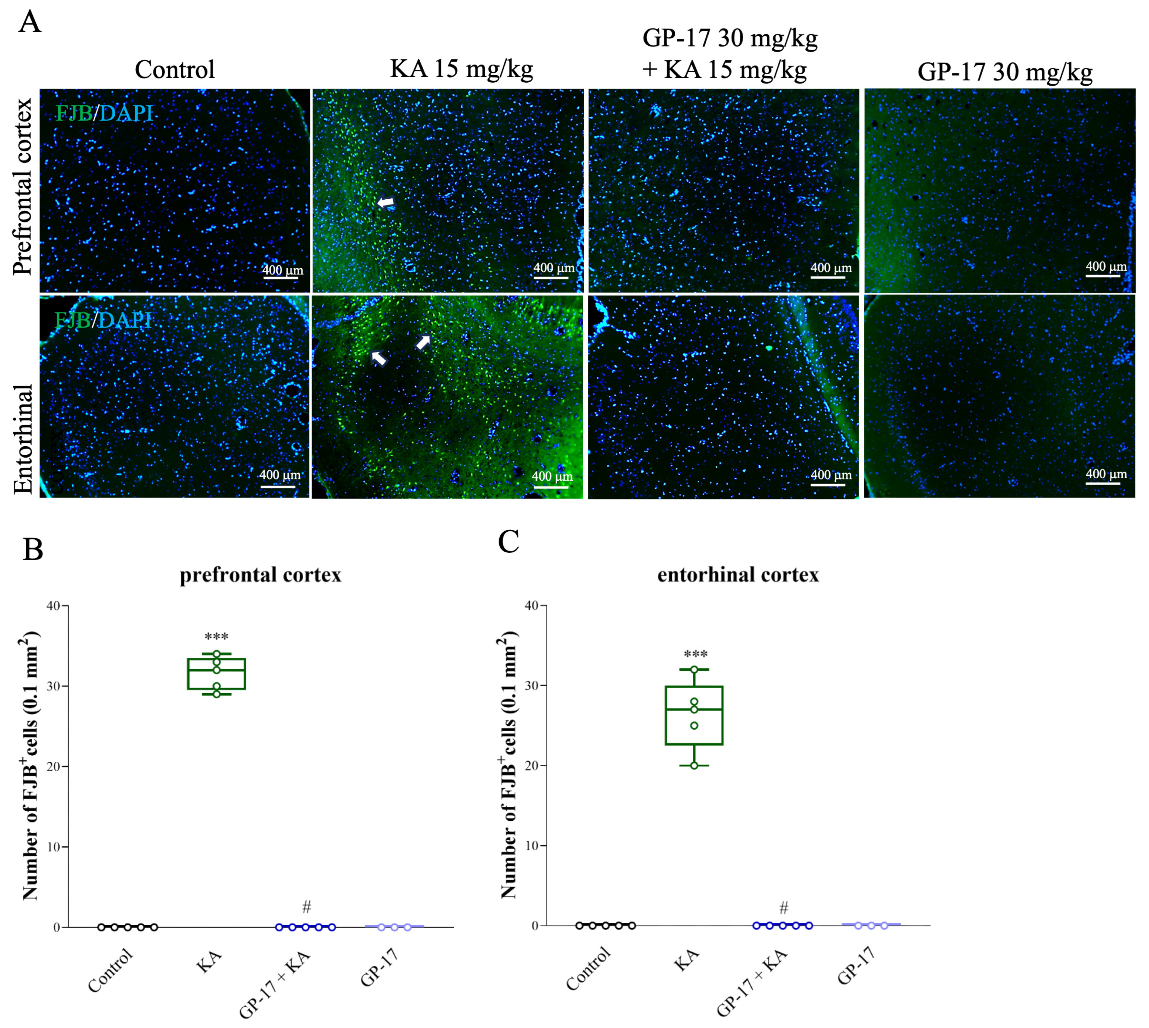 Biomolecules 14 00589 g003