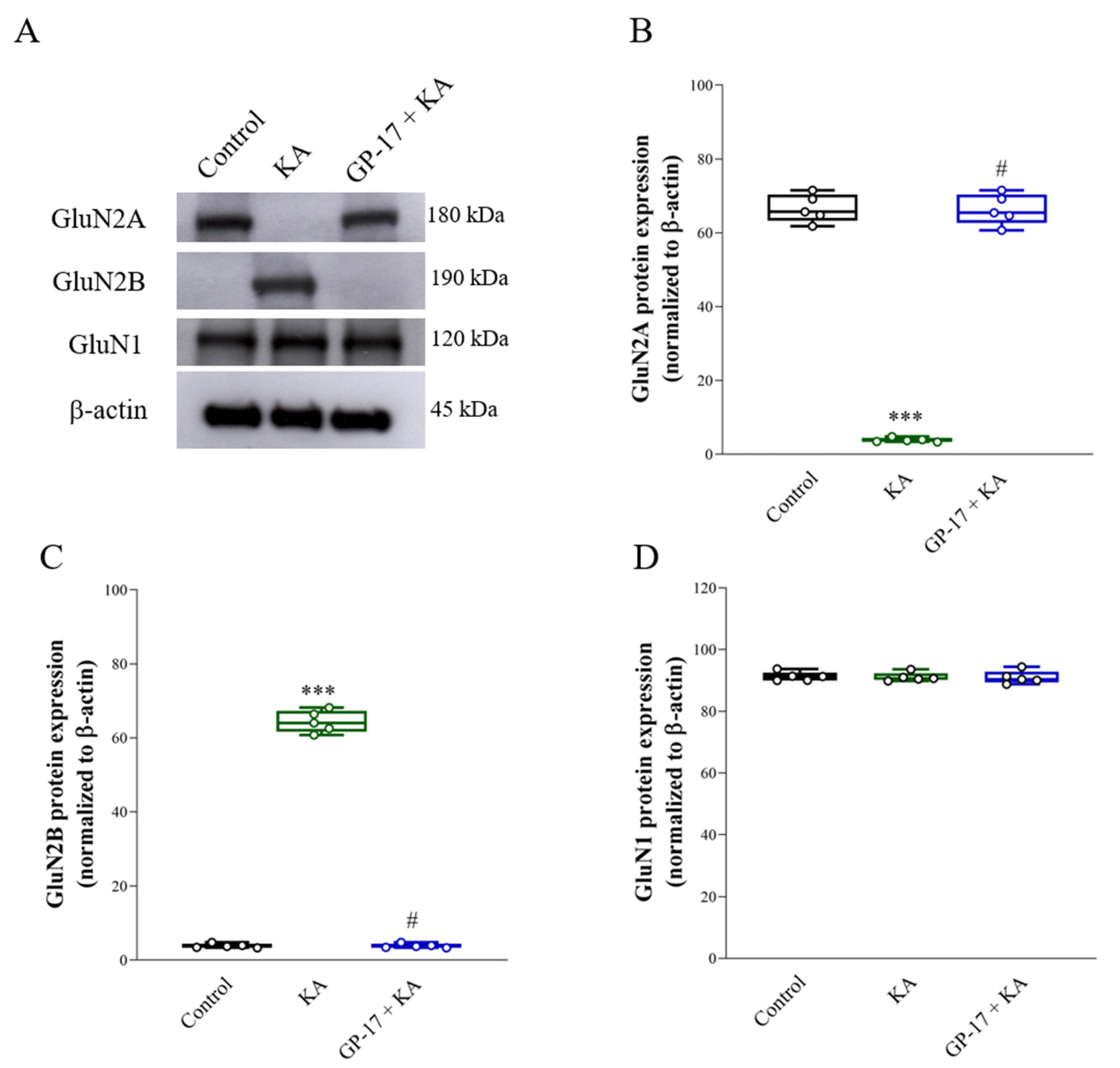 Biomolecules 14 00589 g006