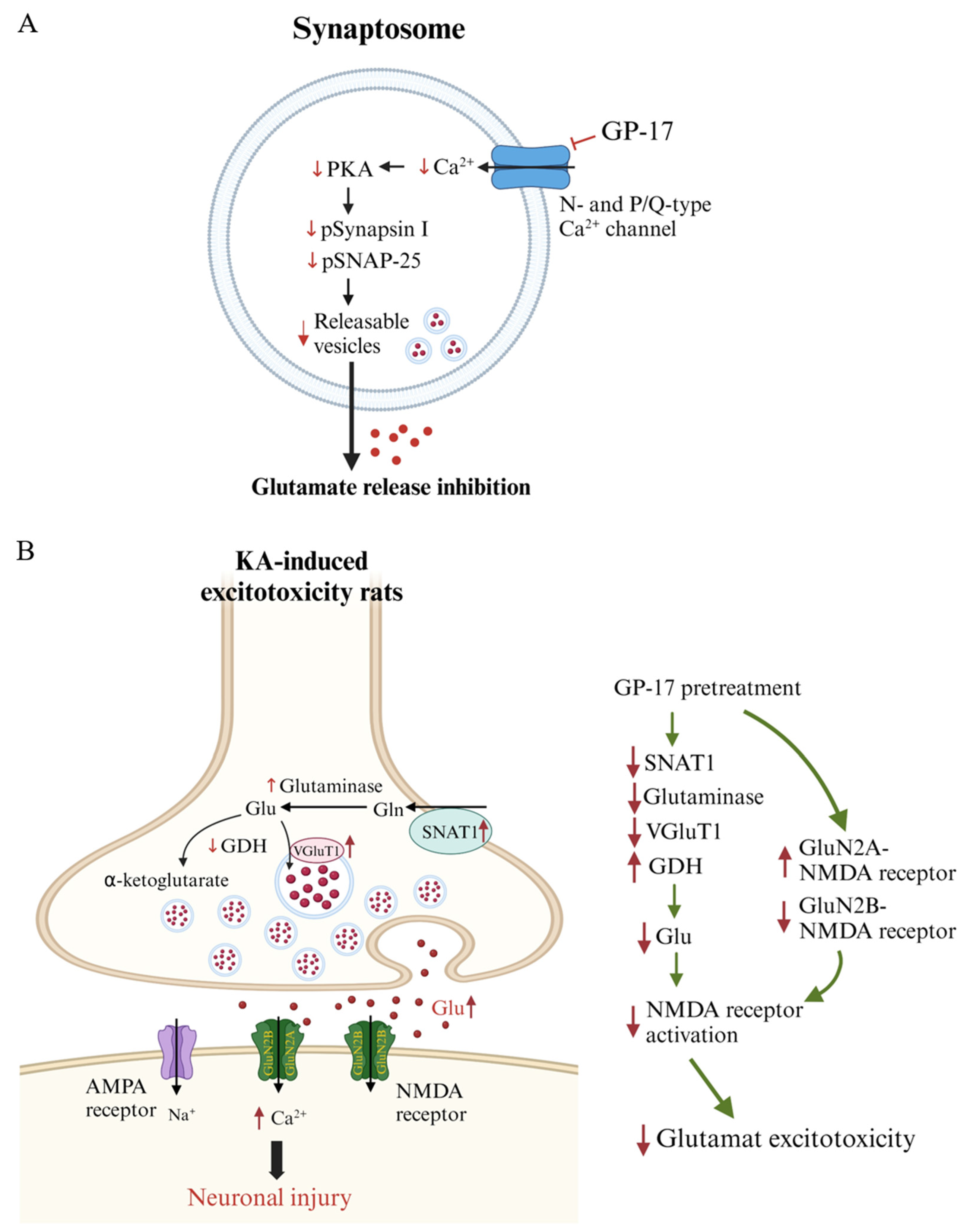 Biomolecules 14 00589 g008