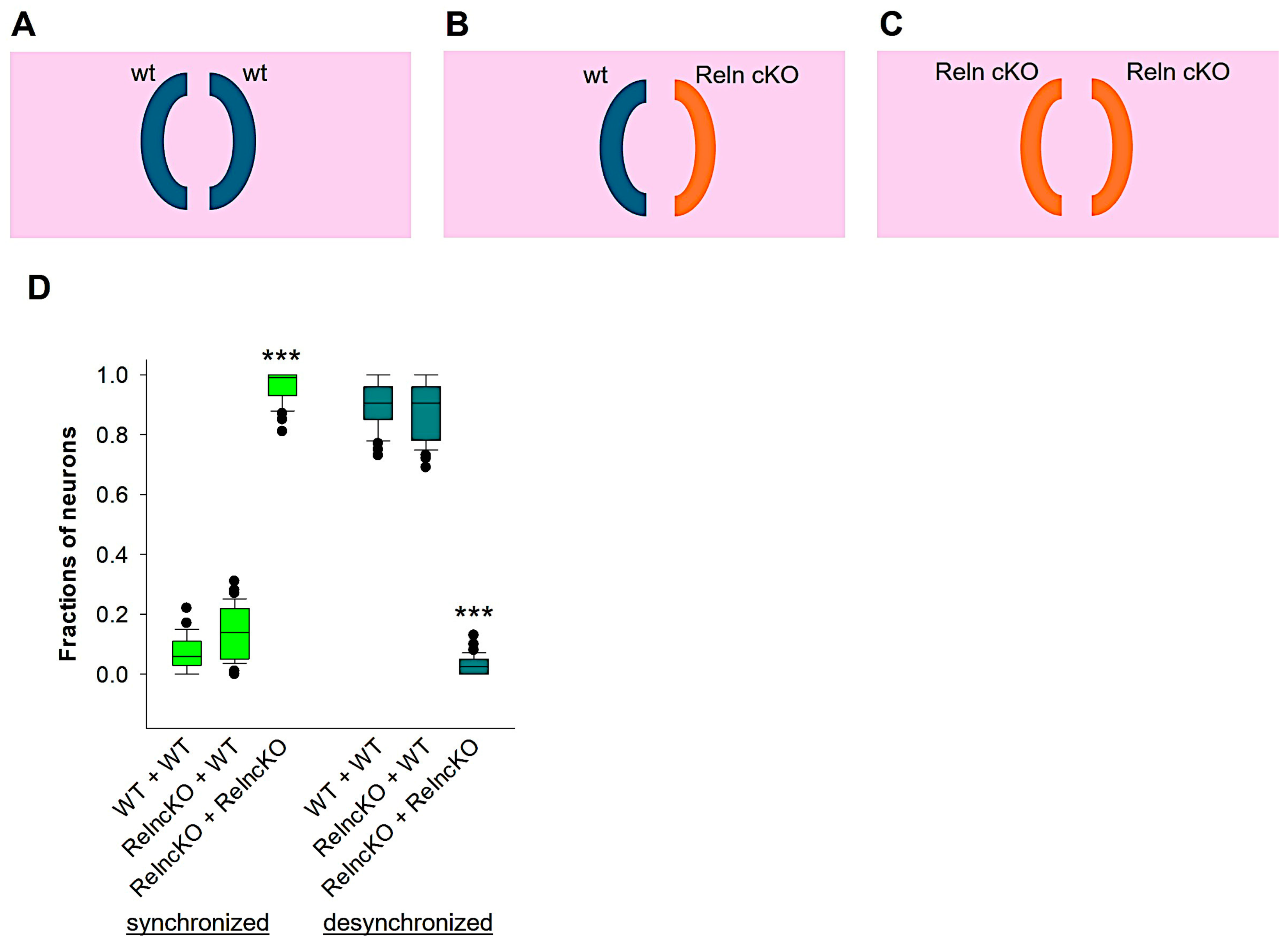 Biomolecules 14 00593 g003