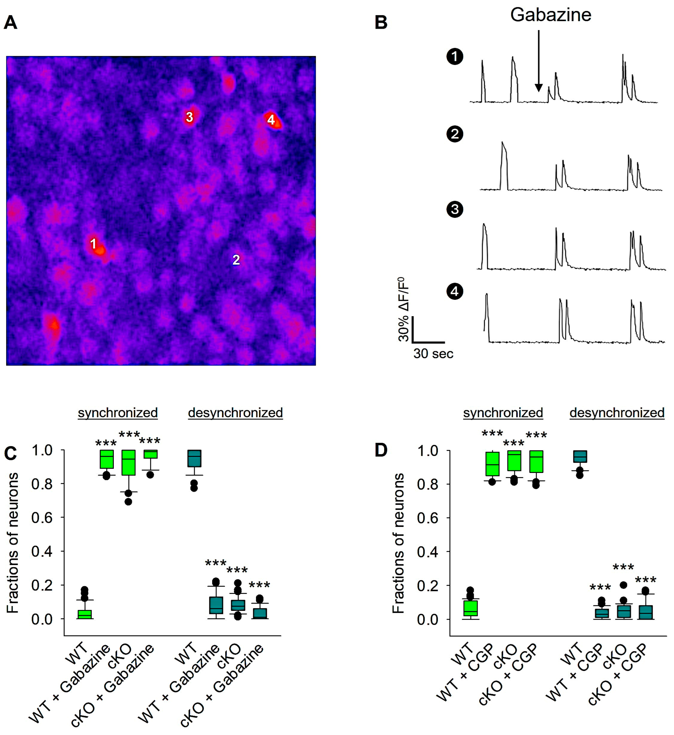 Biomolecules 14 00593 g006