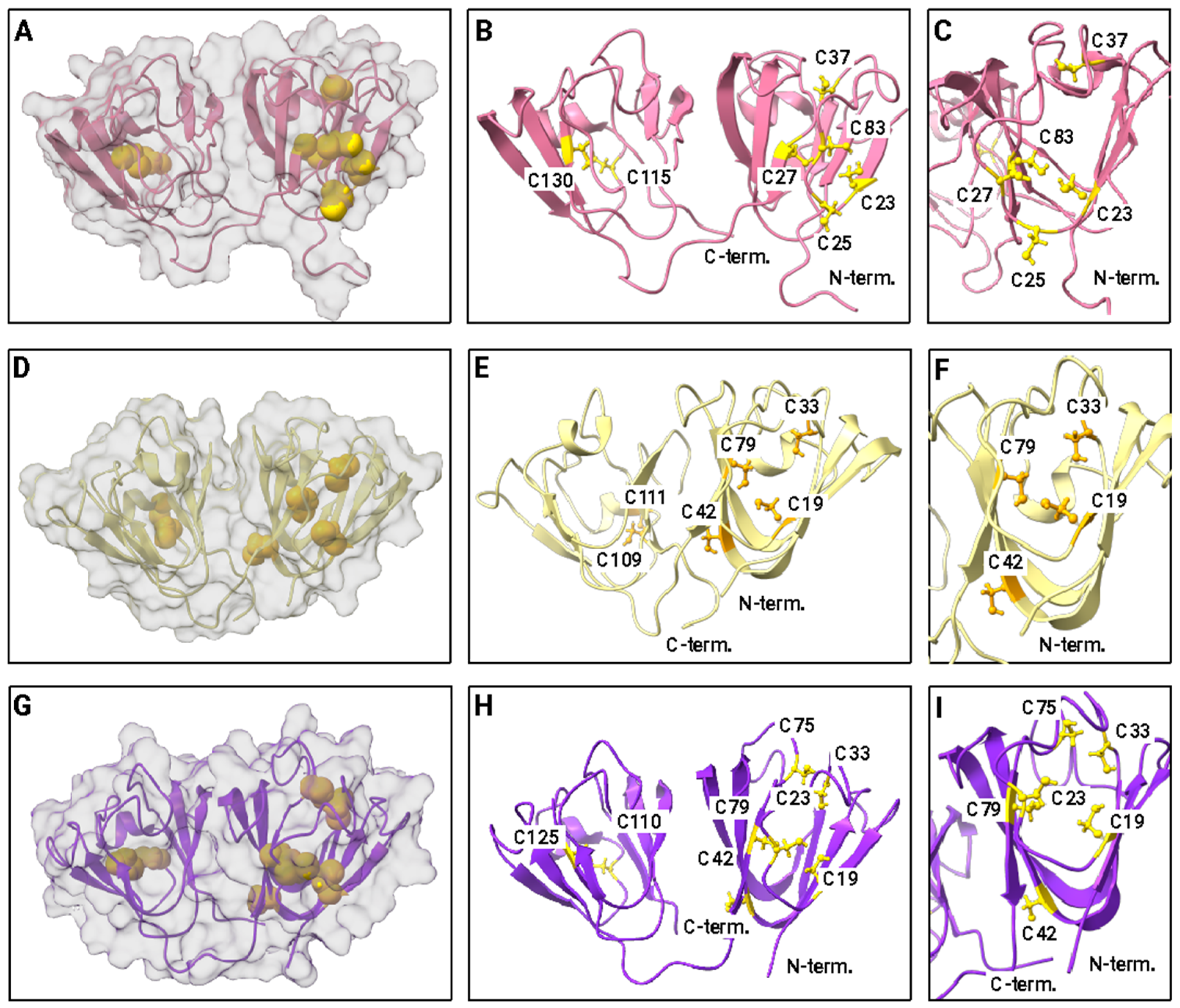 Biomolecules 14 00594 g004