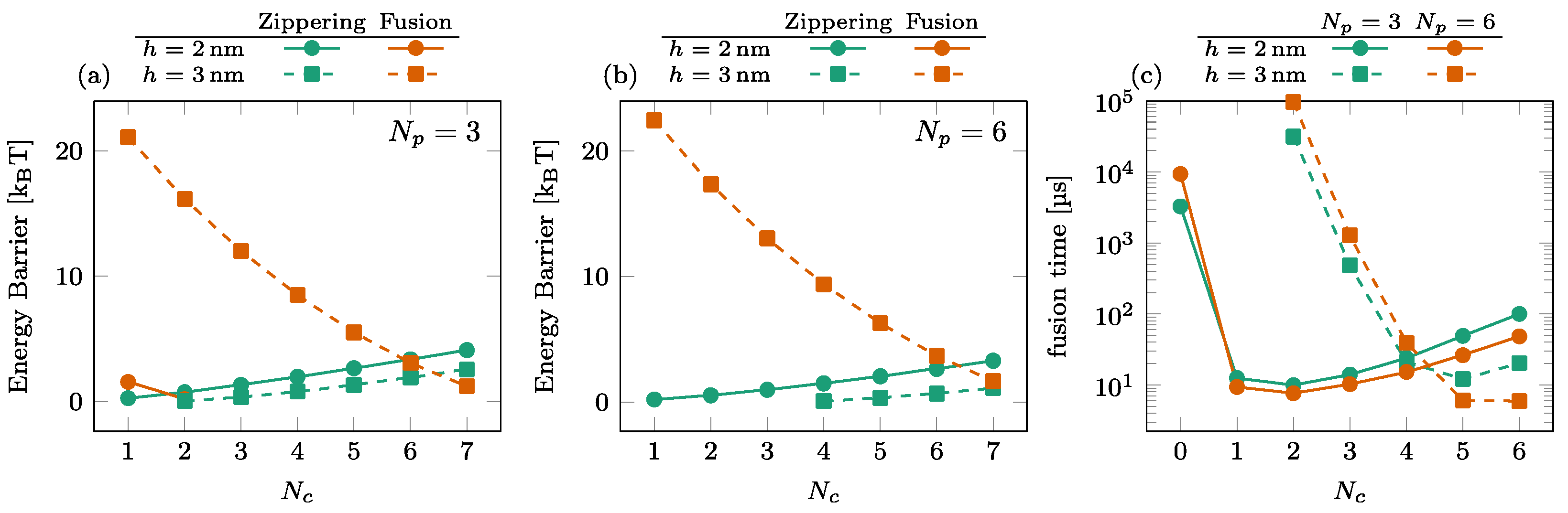 Biomolecules 14 00600 g006