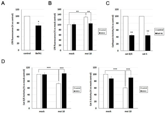 Biomolecules | Free Full-Text | Cholesterol Modulation Attenuates the ...