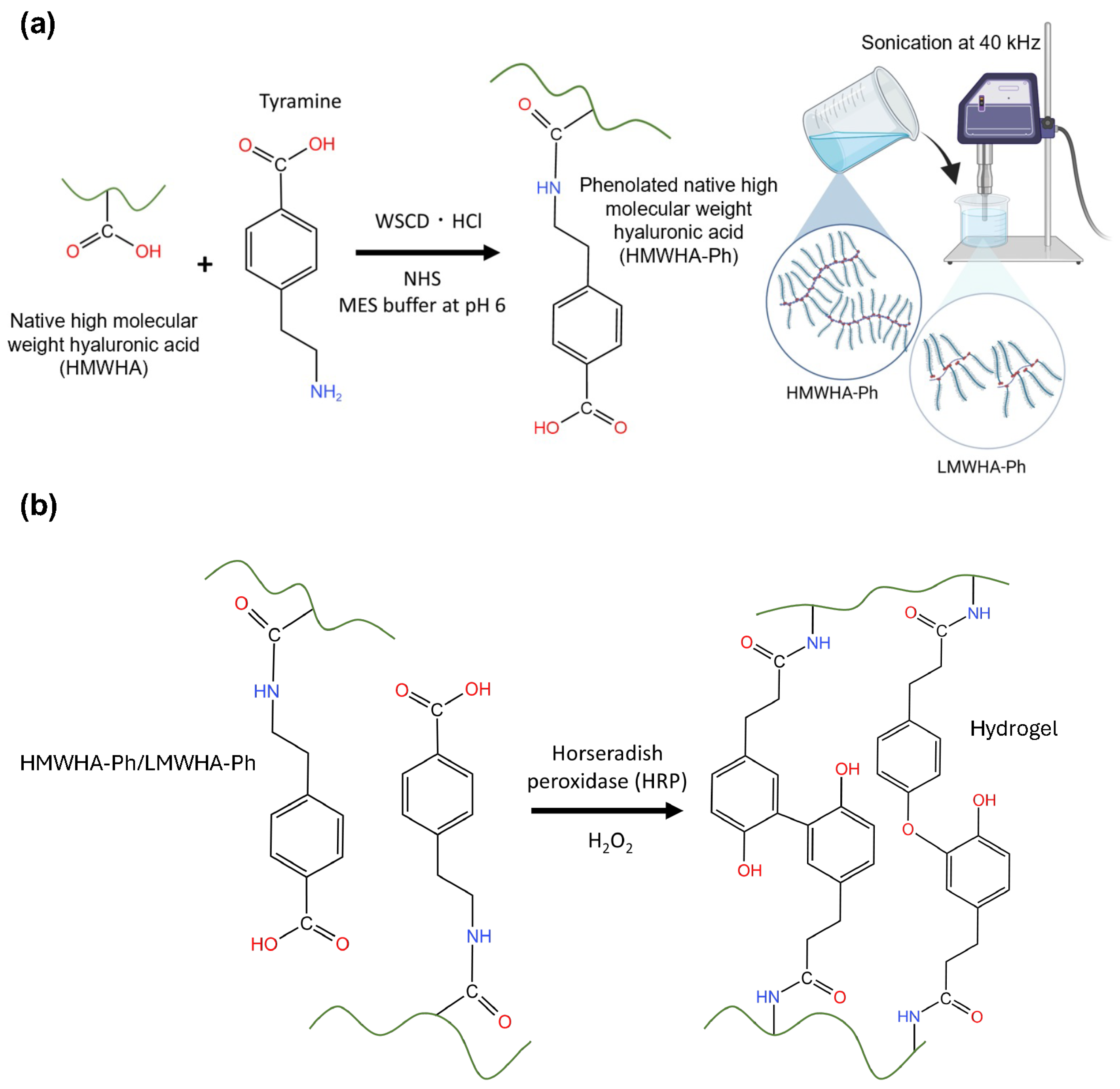 Biomolecules 14 00604 g001 Biomolecules 14 00604 g001