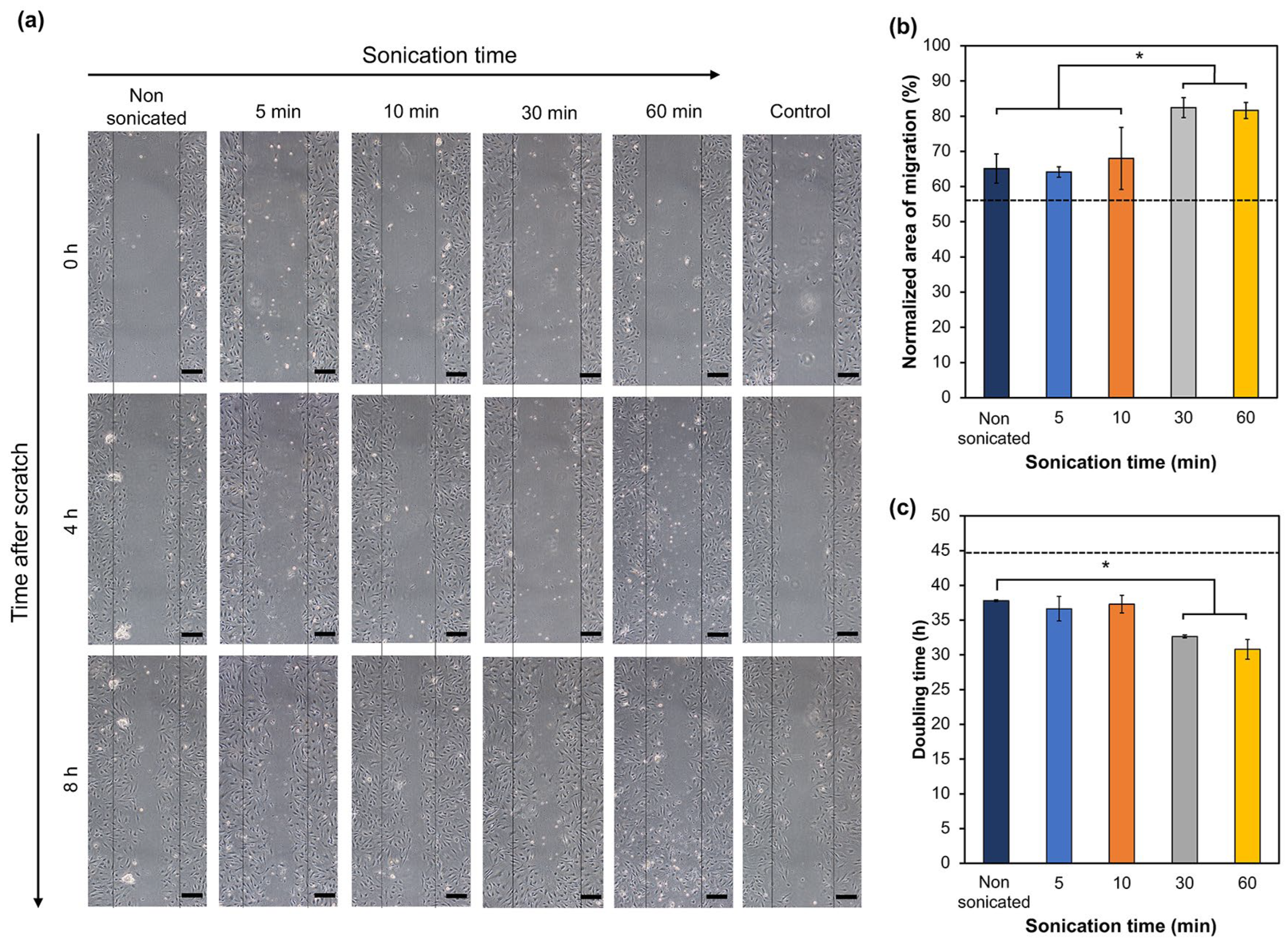 Biomolecules 14 00604 g003 Biomolecules 14 00604 g003