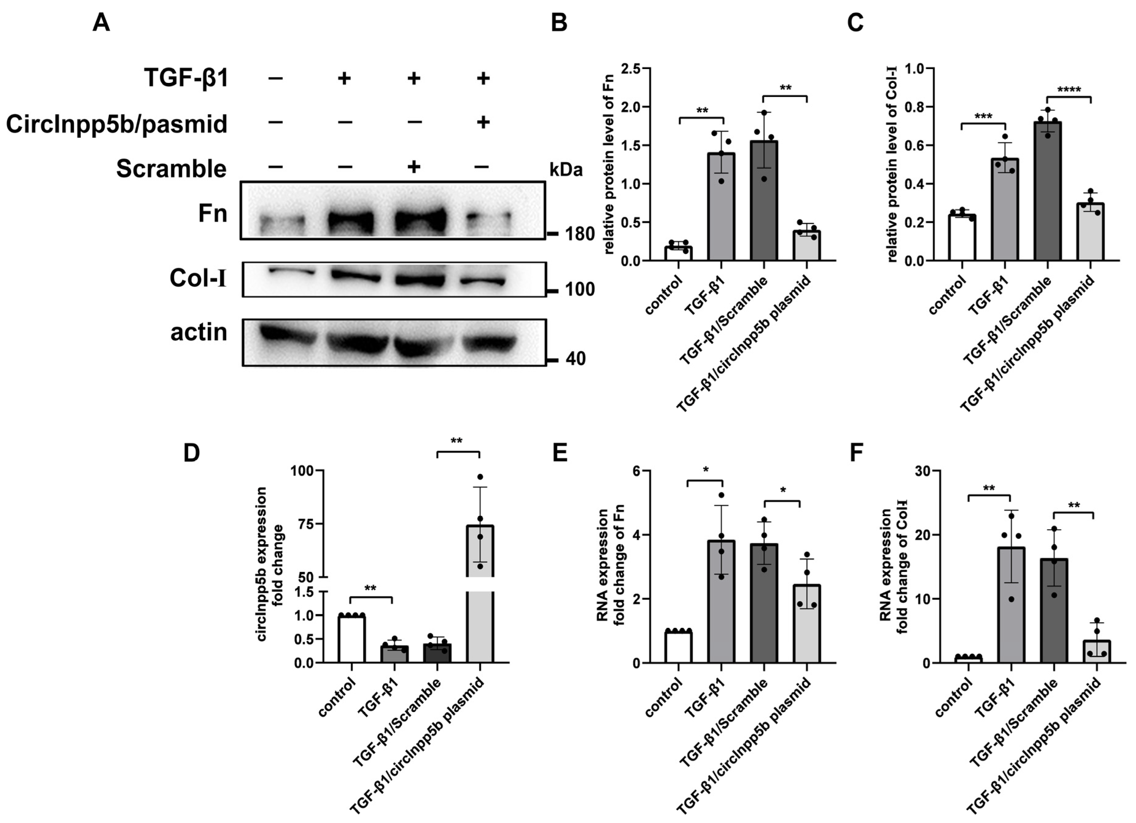 Biomolecules 14 00613 g003