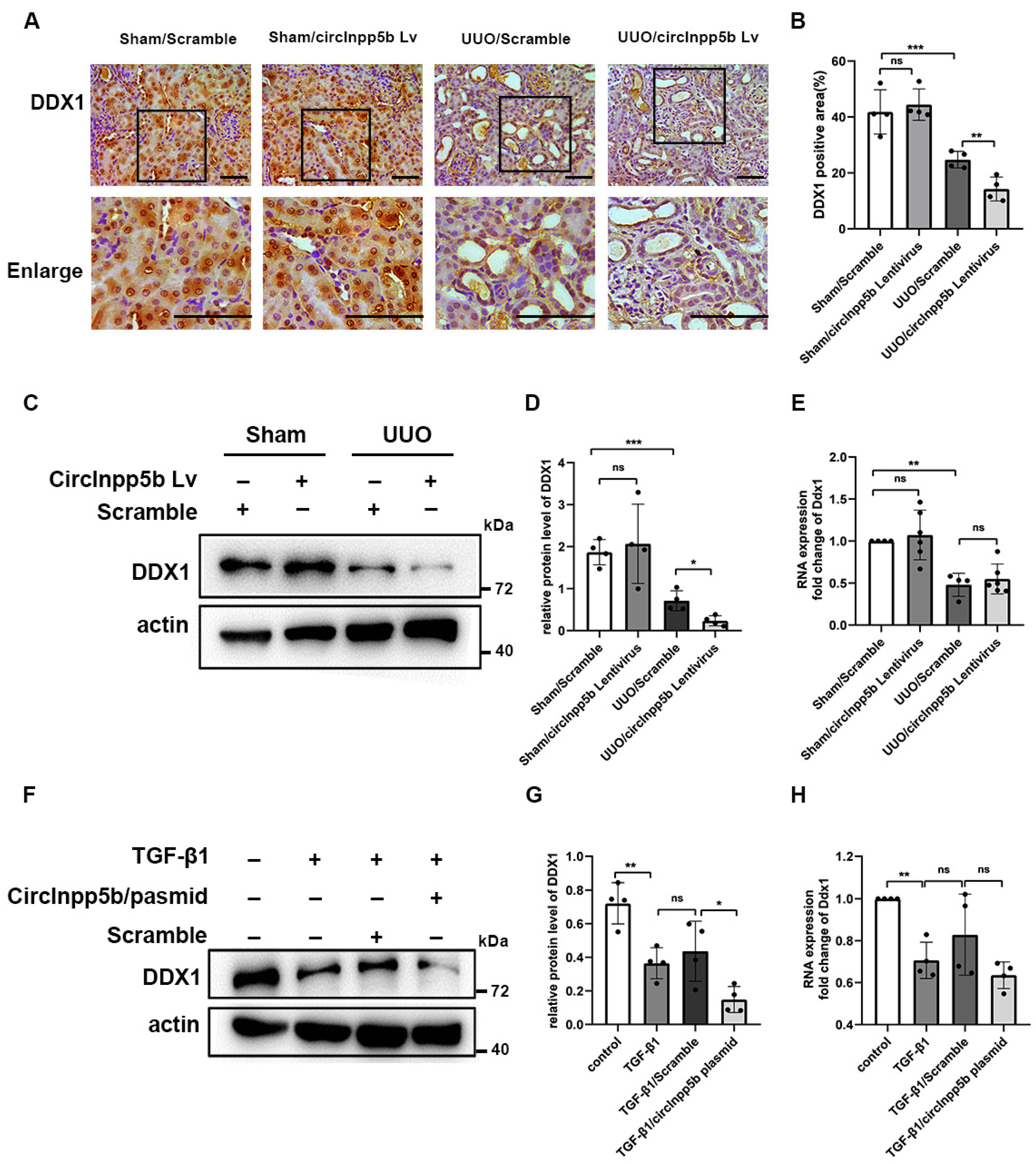 Biomolecules 14 00613 g005