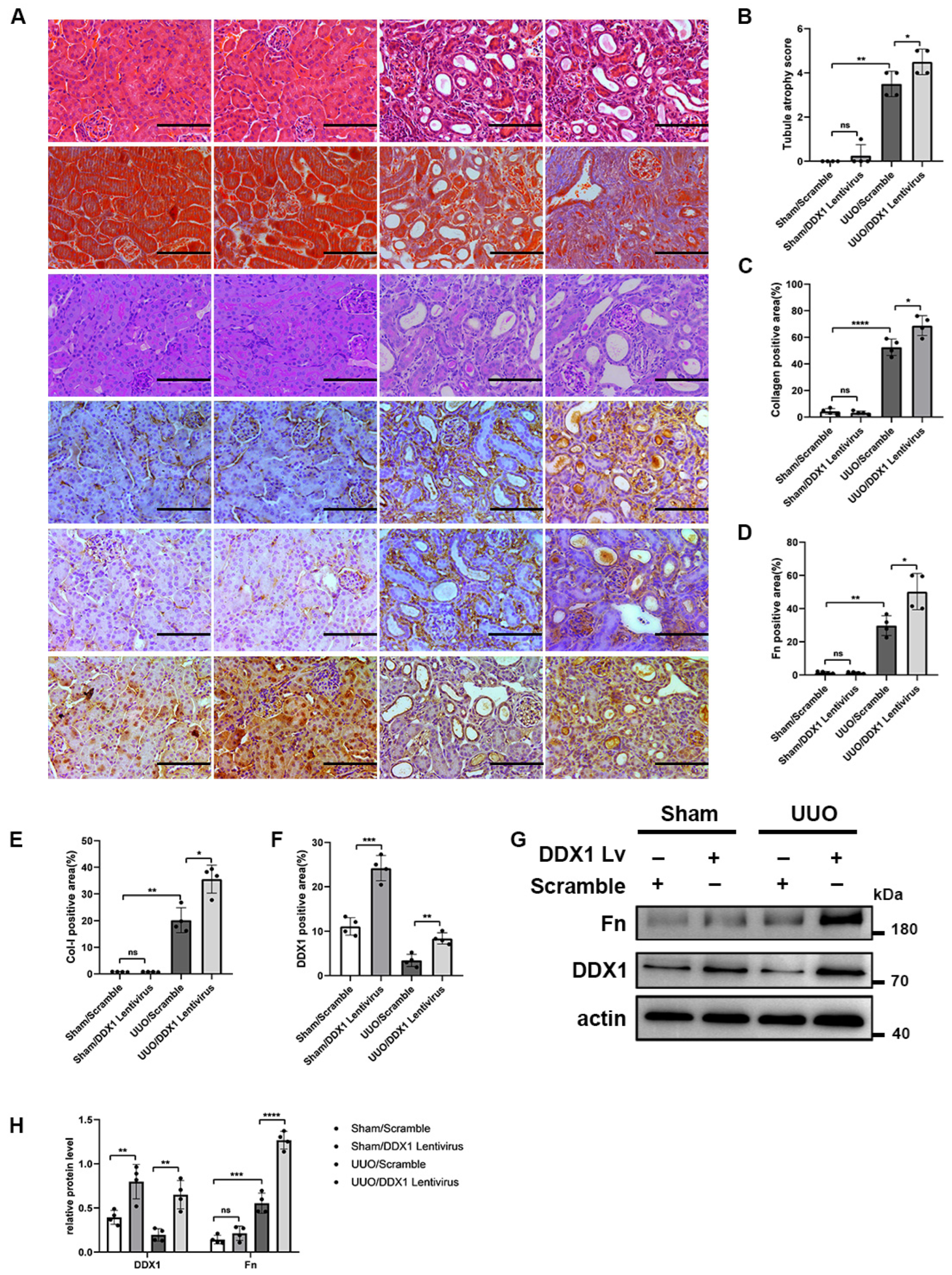 Biomolecules 14 00613 g007
