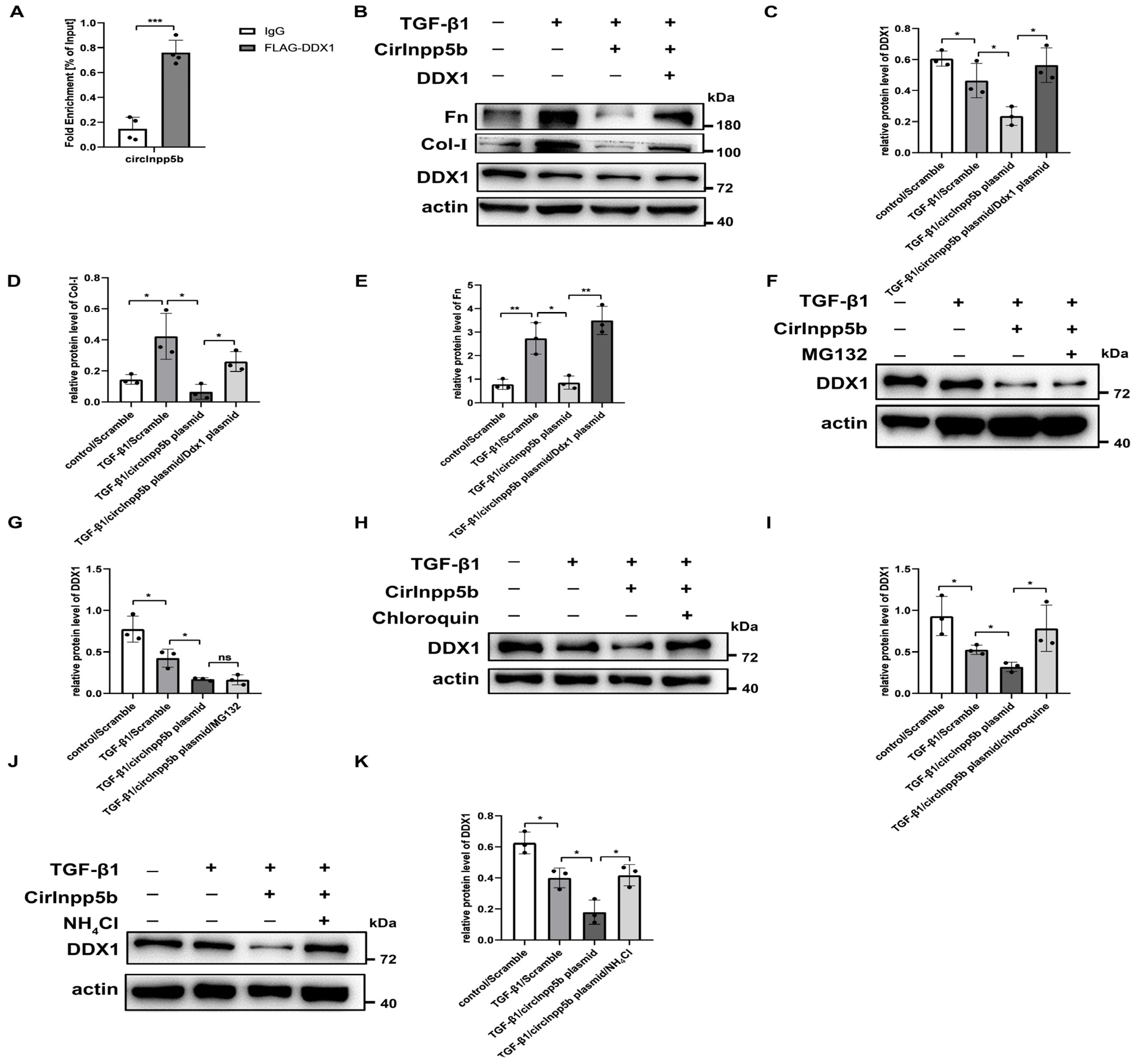 Biomolecules 14 00613 g009