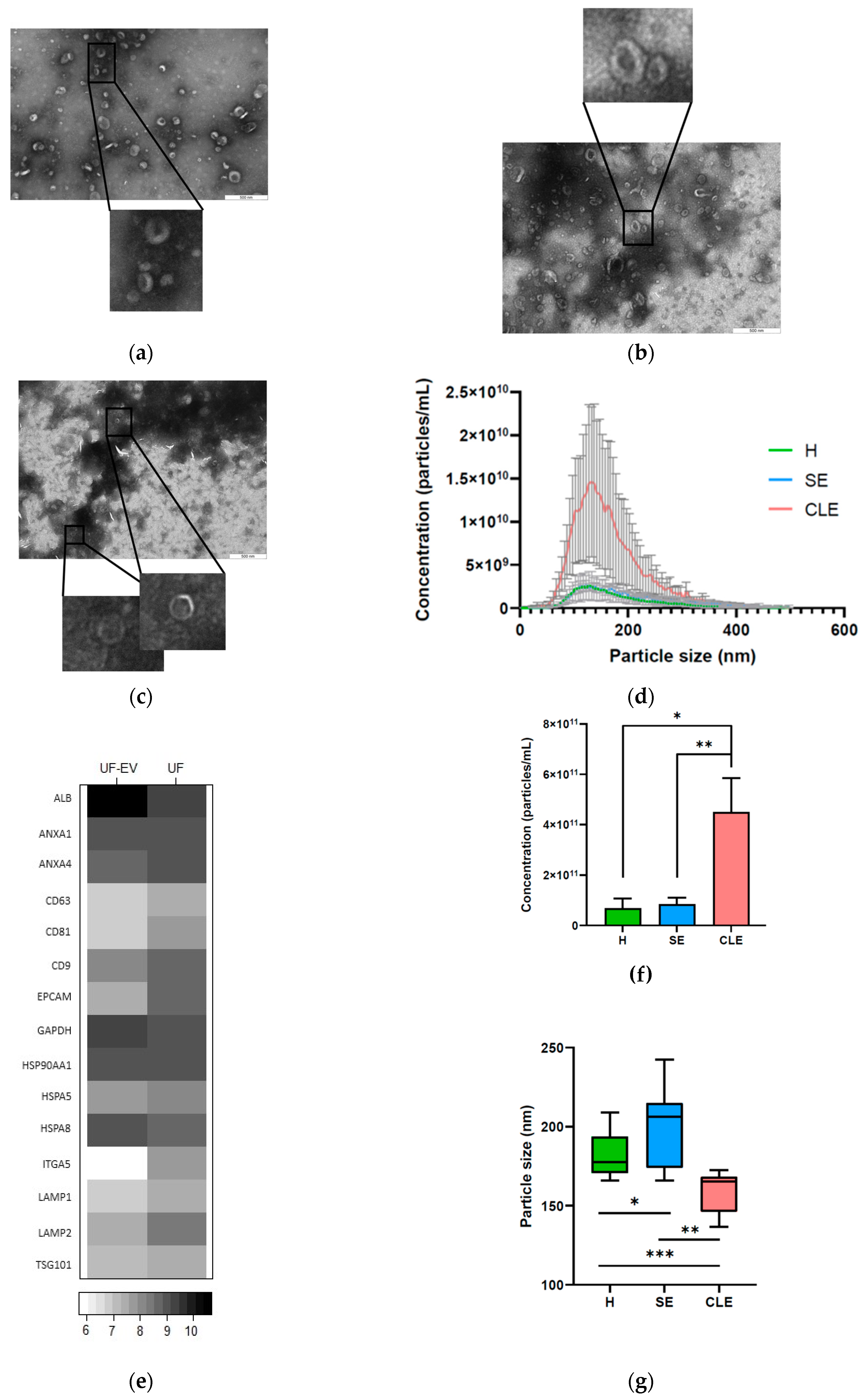 Biomolecules 14 00626 g002