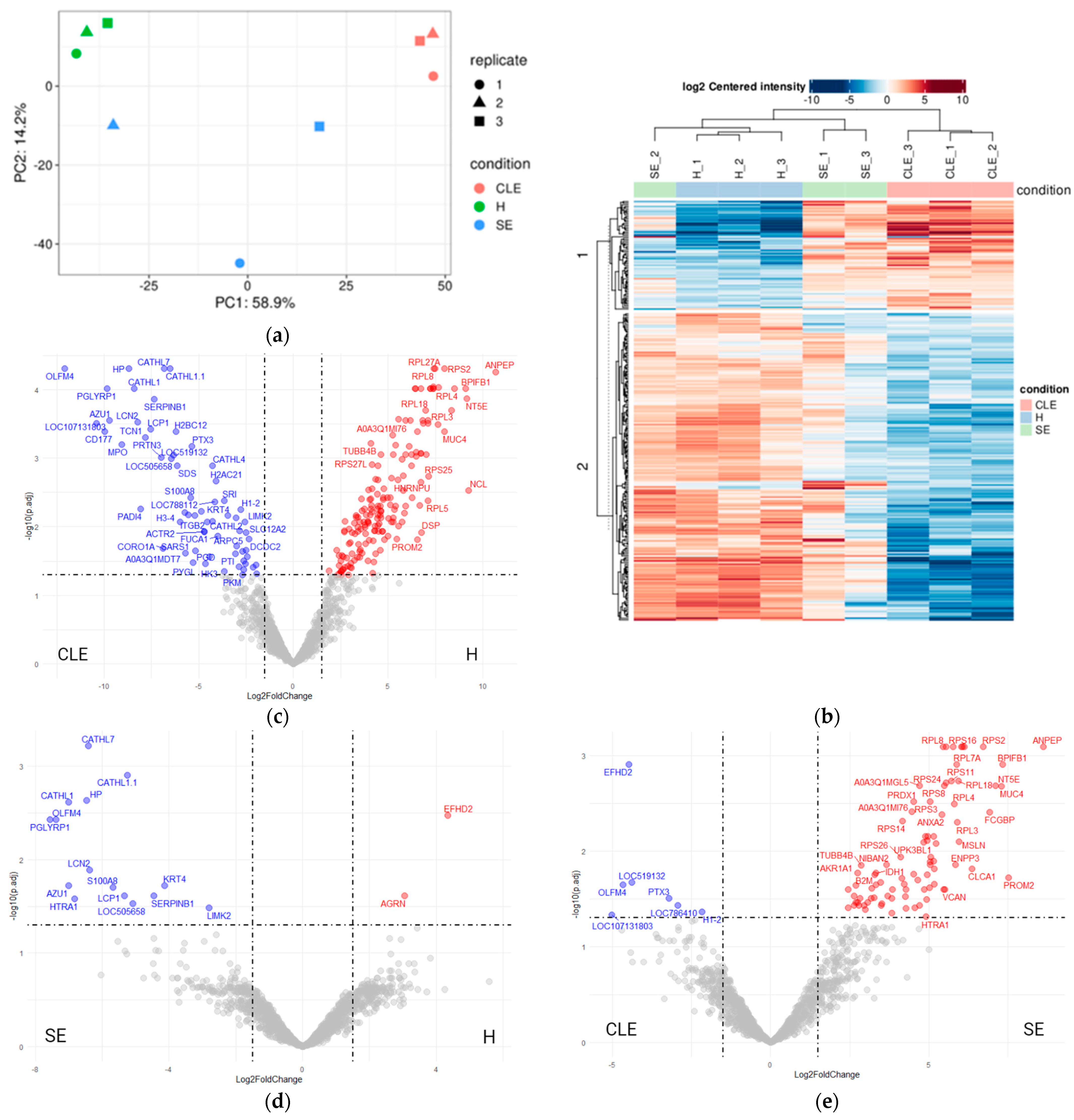 Biomolecules 14 00626 g003