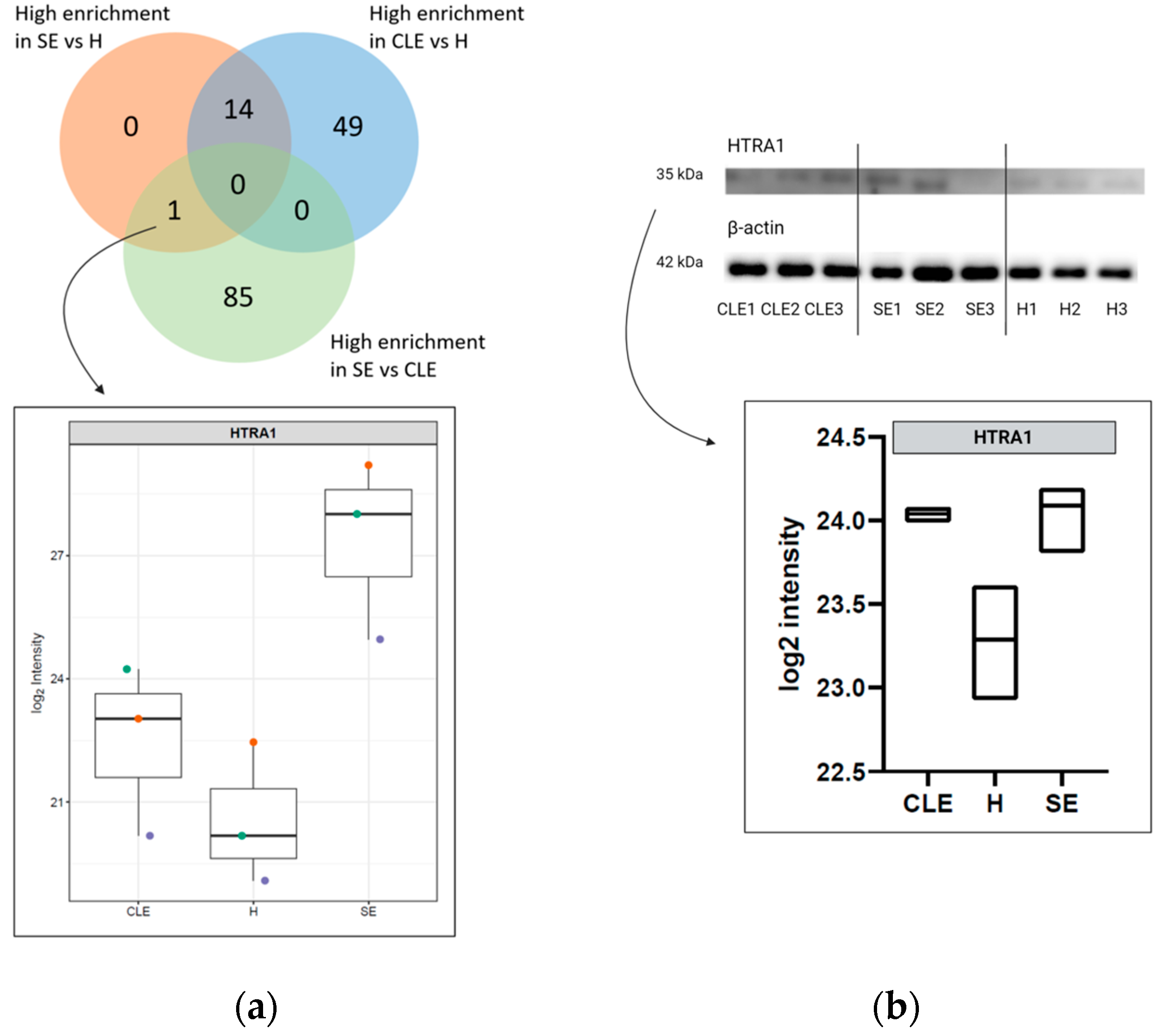 Biomolecules 14 00626 g005