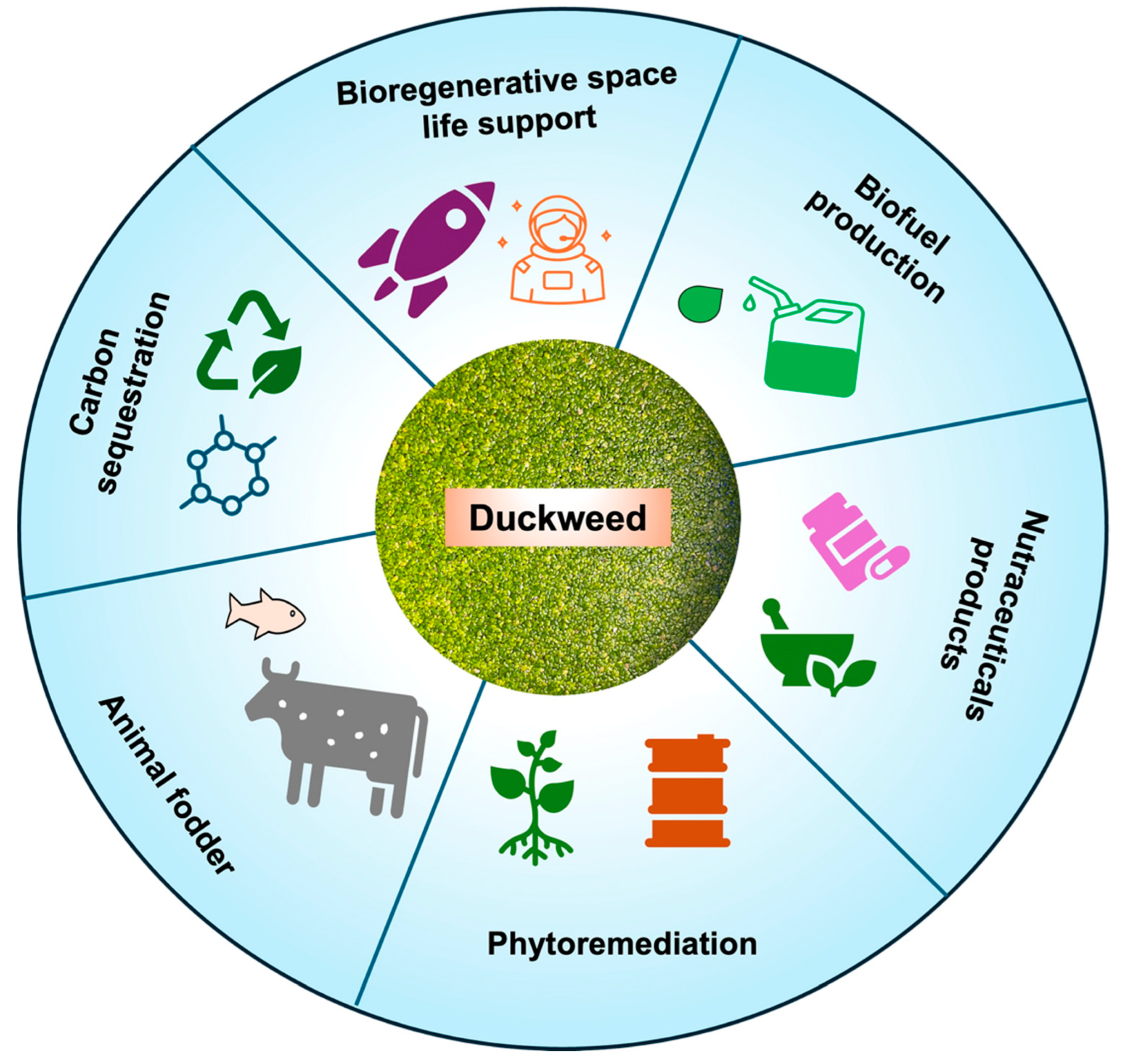 Biomolecules 14 00628 g002