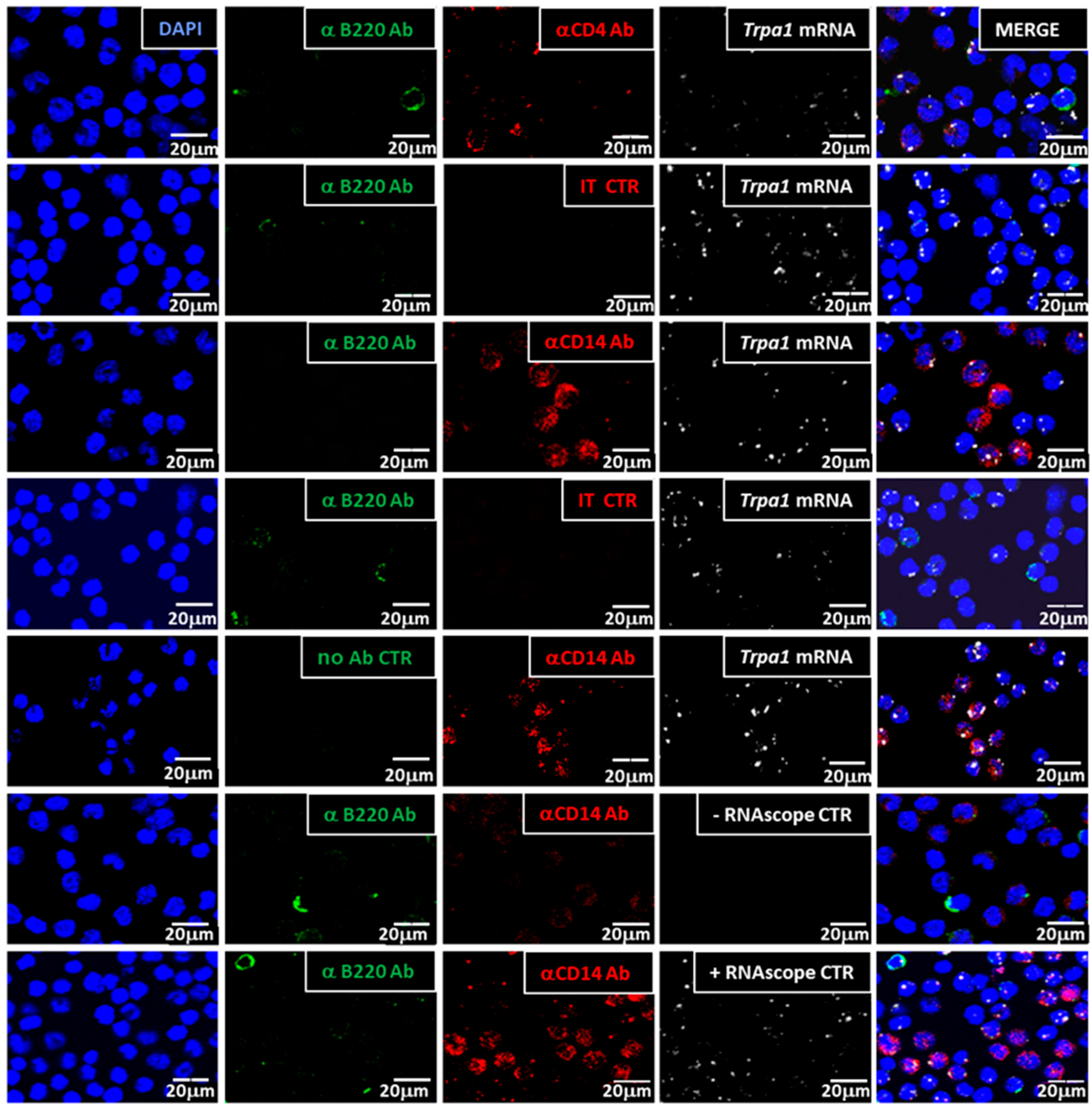 Biomolecules 14 00632 g002