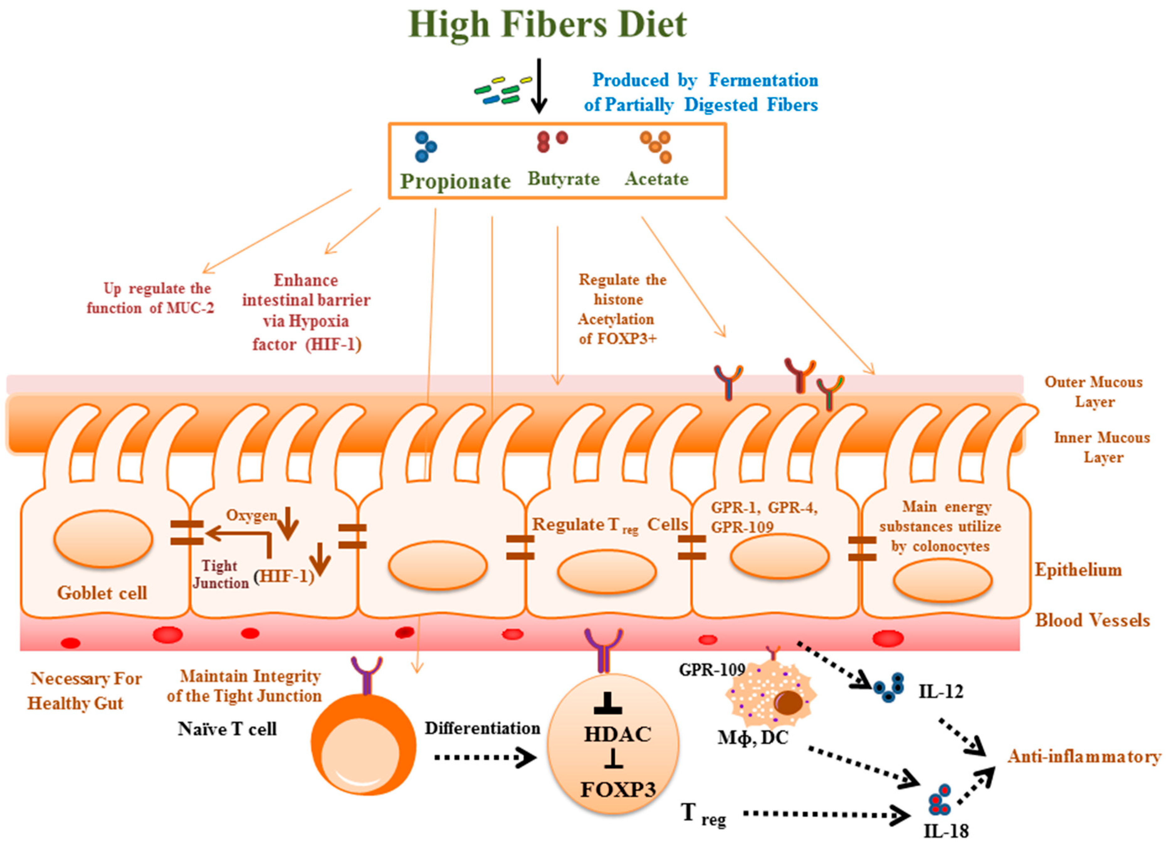 Biomolecules 14 00633 g002 Biomolecules 14 00633 g002