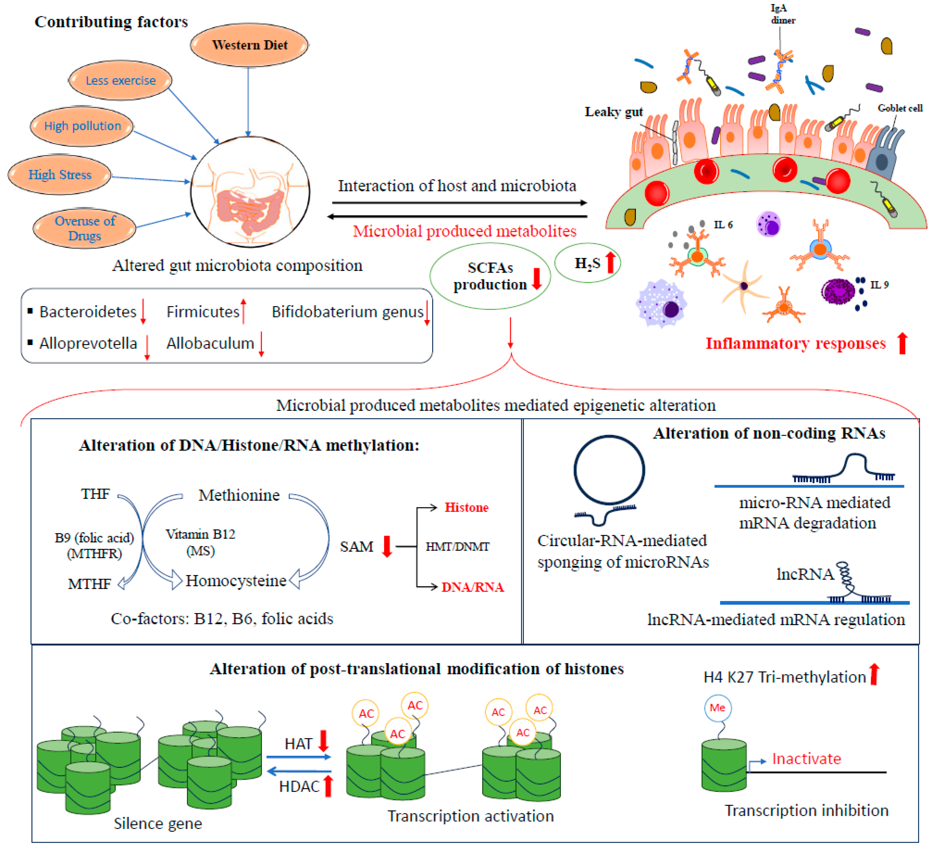 Biomolecules 14 00633 g006 Biomolecules 14 00633 g006