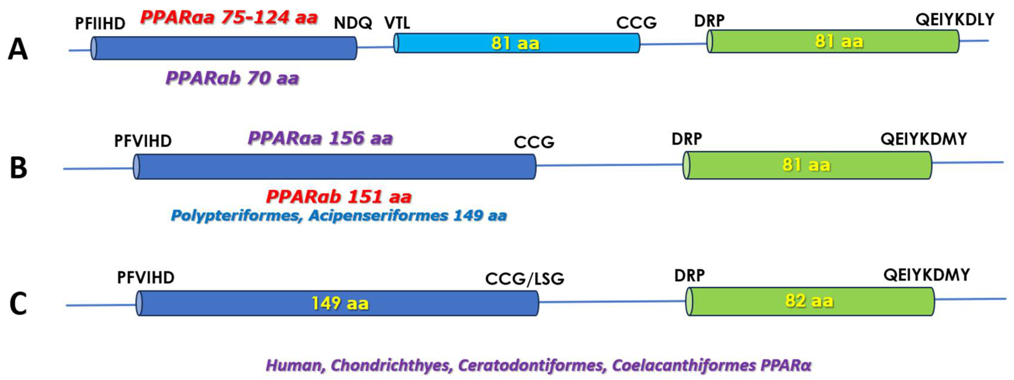 Biomolecules 14 00634 g001