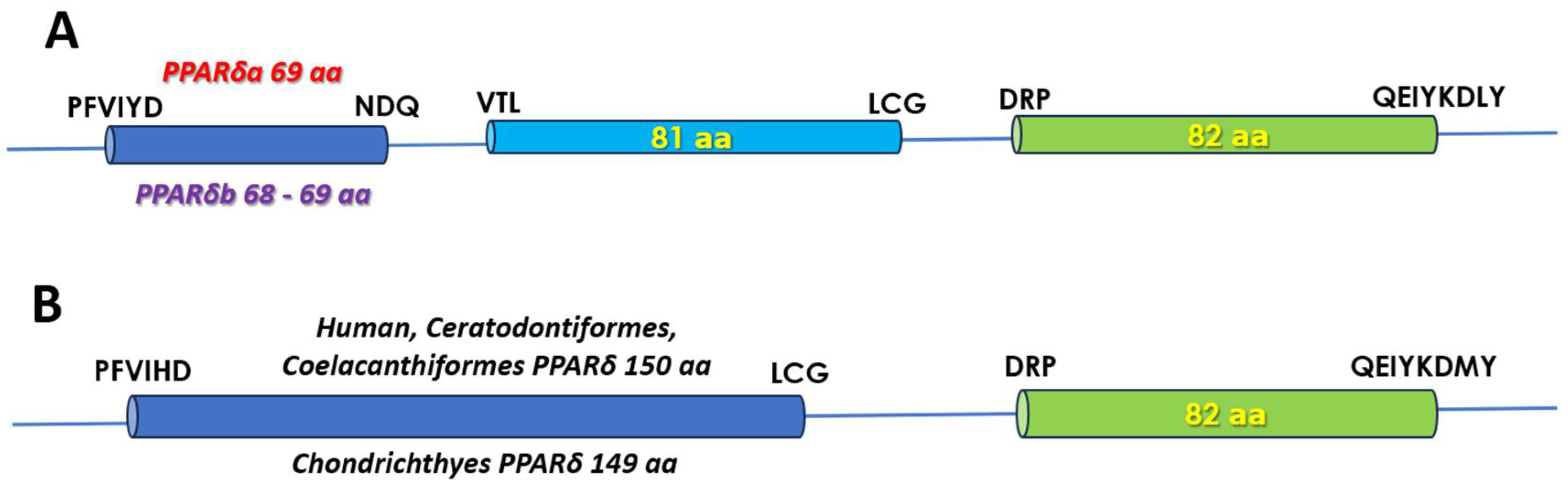 Biomolecules 14 00634 g002